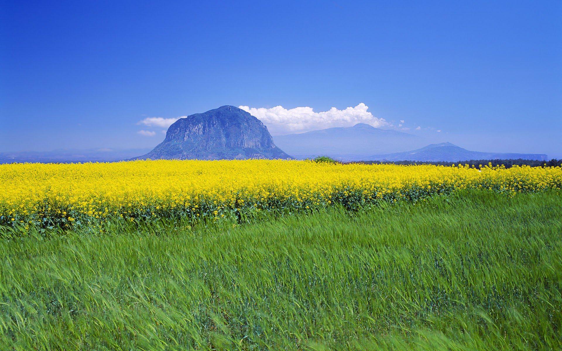 1920x1200 Jeju Island