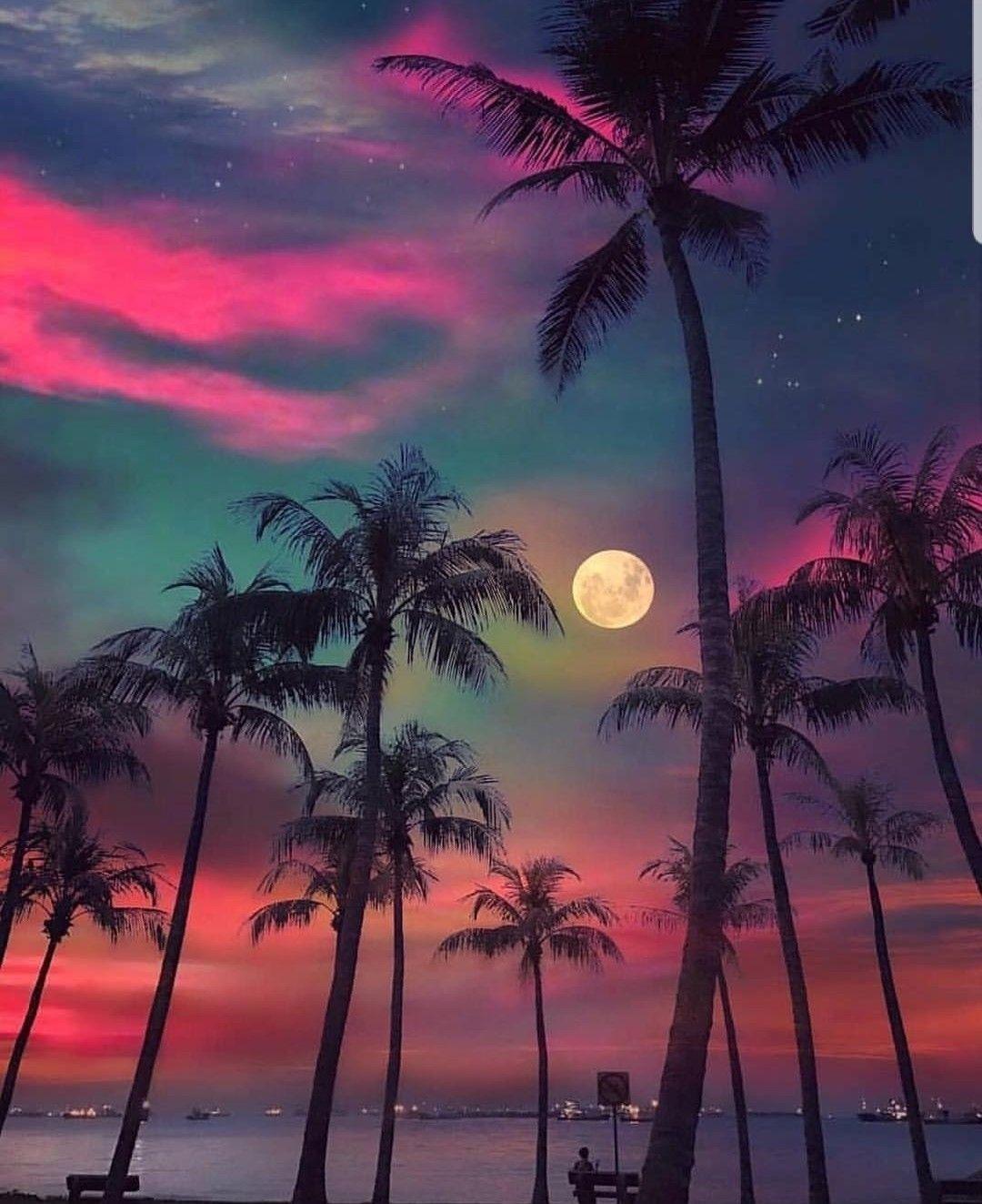 1080x1323 Night life. Beautiful nature wallpaper, Sunset wallpaper, Nature picture