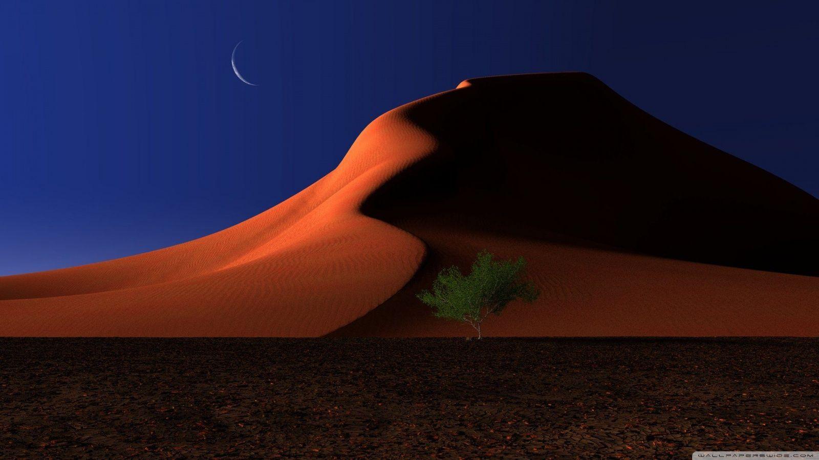 1600x900 All About HD Wallpaper: Desert Night Wallpaper HD