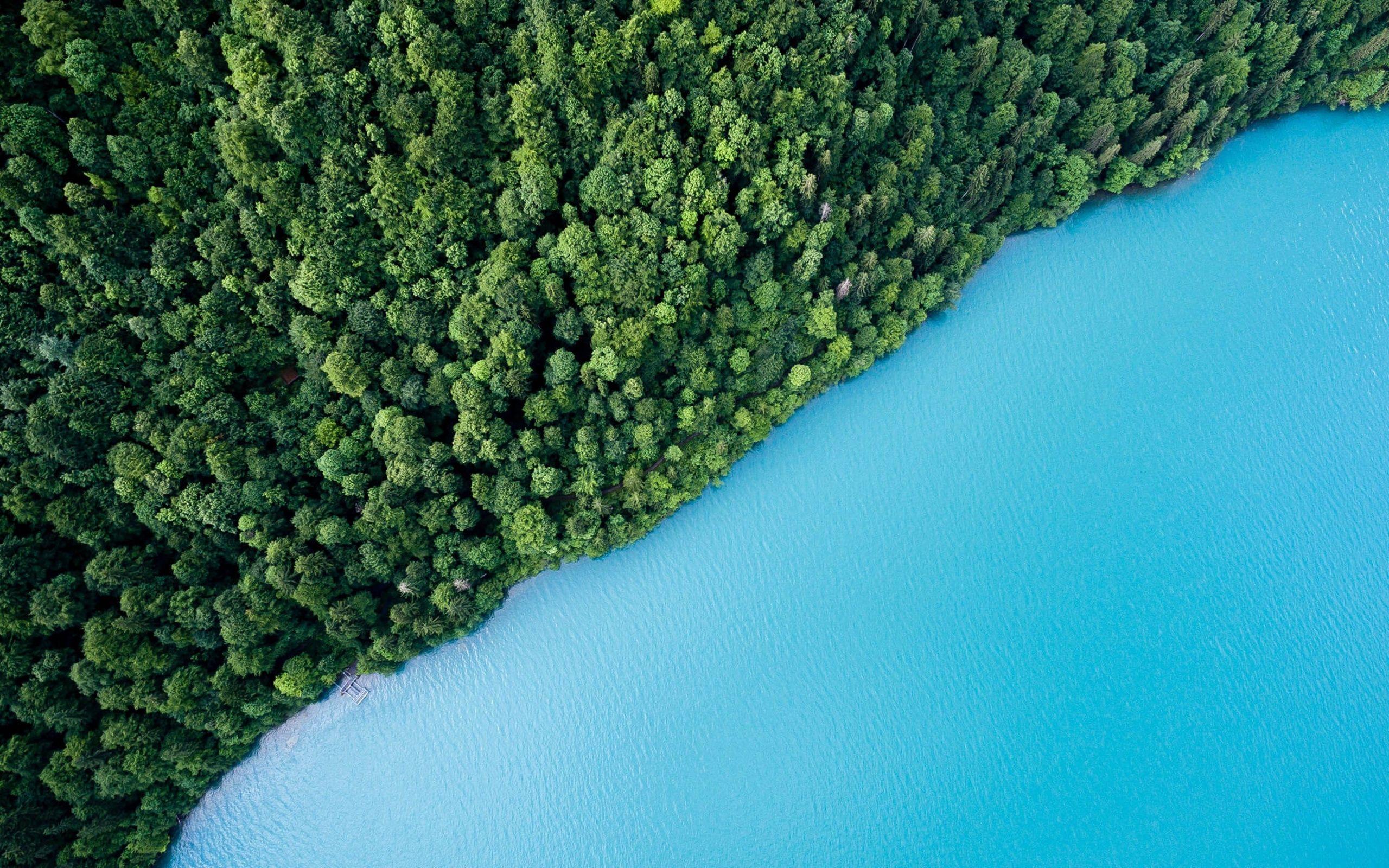 2560x1600 Blue Lake Water Green Trees Plants Forests 2560x1600 Resolution HD 4k Wallpaper, Image, Background, Photo and Picture