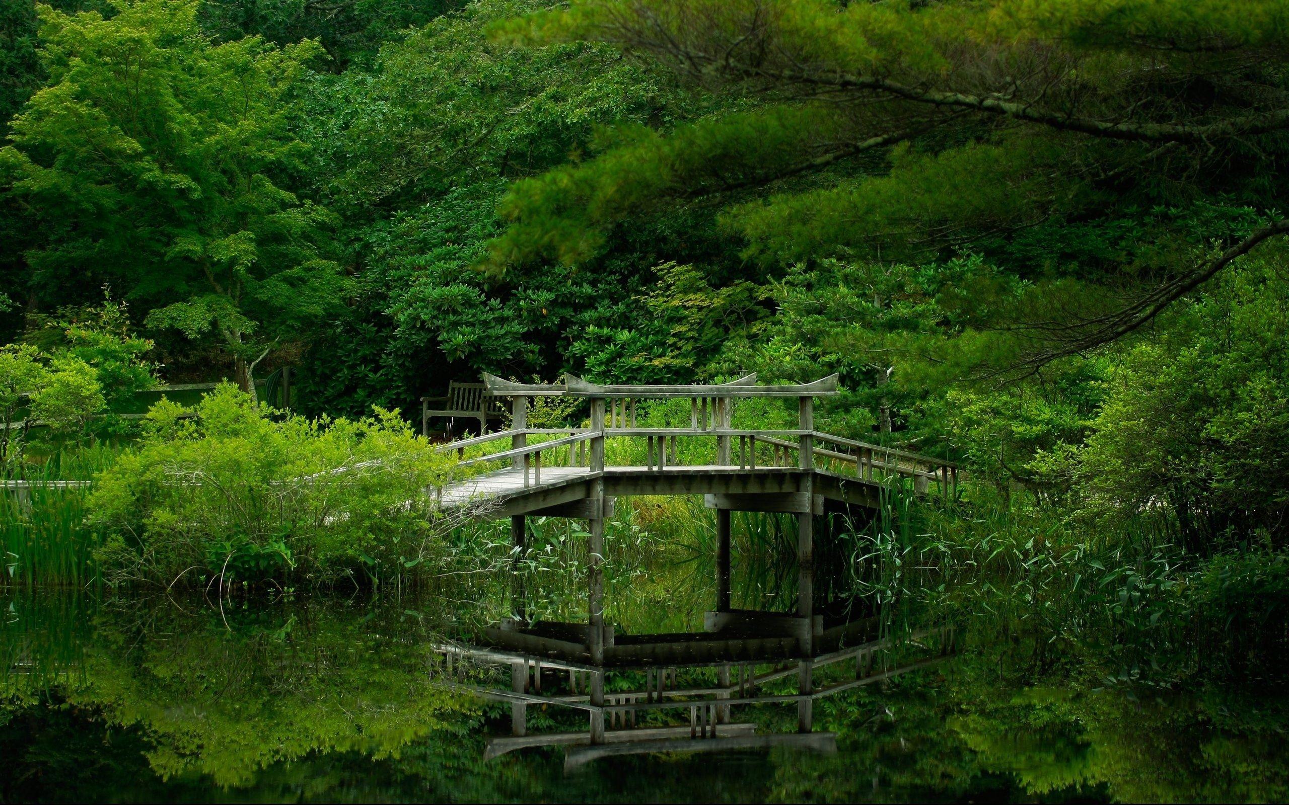 2560x1600 Wallpaper. Nature. photo. picture. forest, green, lake, bridge, trees