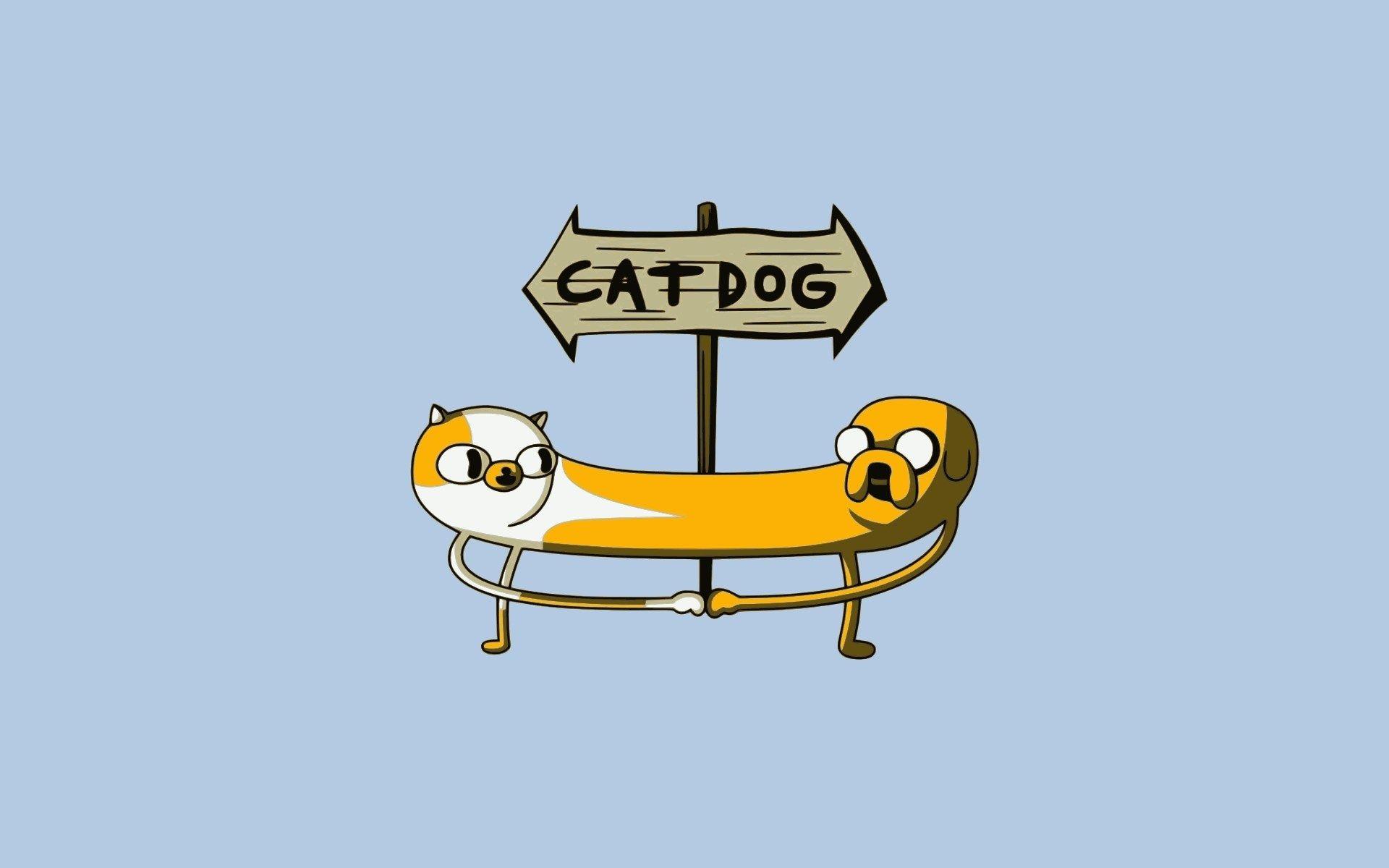 1920x1200 Dog Cat Arrow Cartoon Funny wallpaperx1200