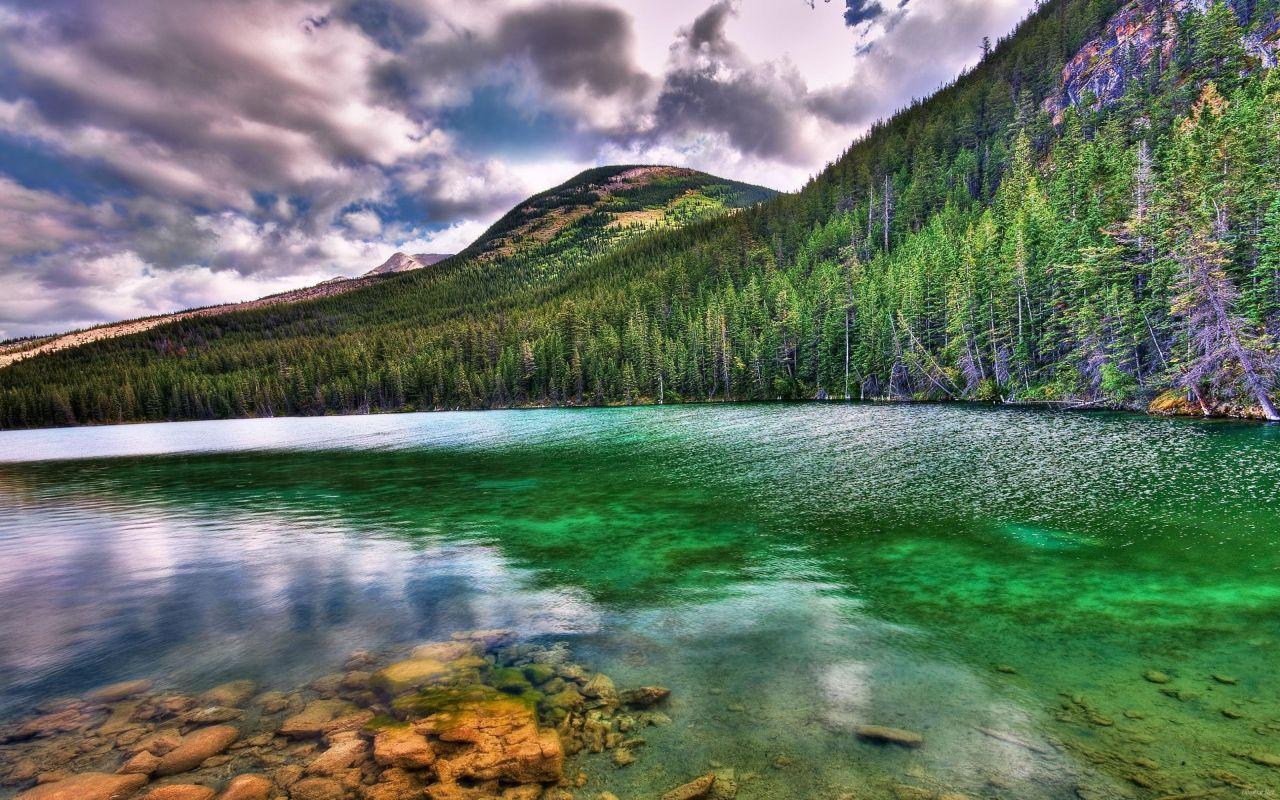 1280x800 Best free HD wallpaper