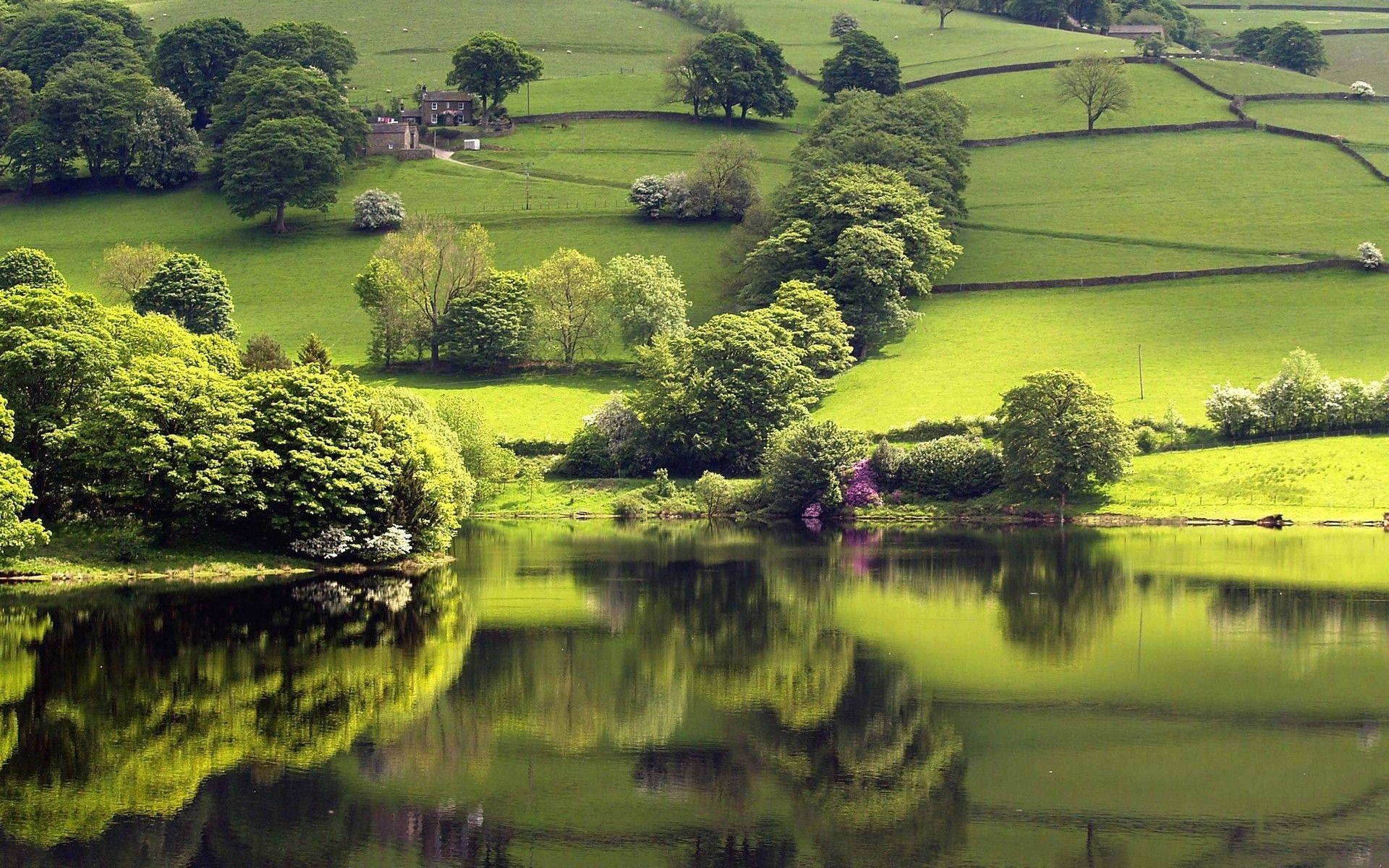 1920x1200 Reflection, wallpaper, lake, green, garden, oceans, worlds