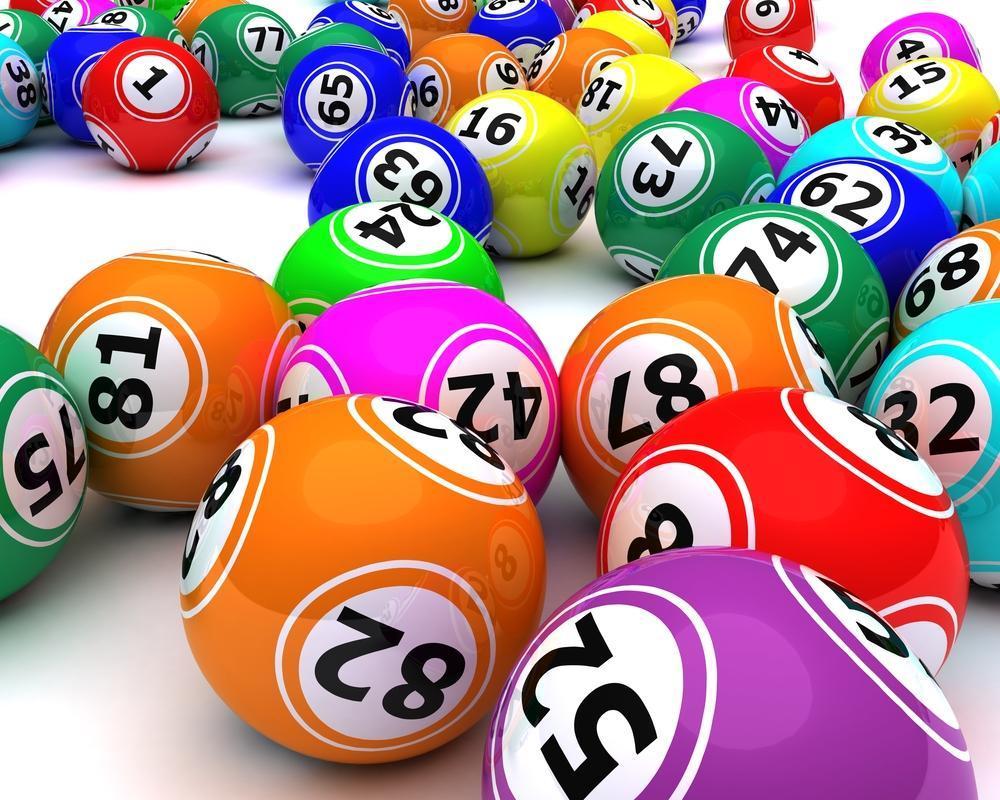 1000x800 Bingo Wallpaper