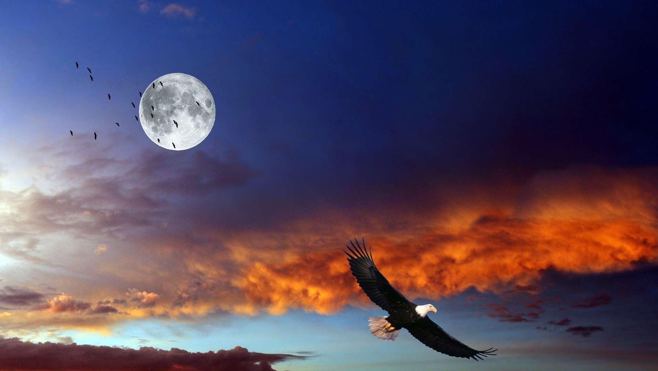 2096x1184 bird, birds, clouds, eagle, lua, moon, nature, sky, sunset wallpaper. Mocah.org HD Wallpaper