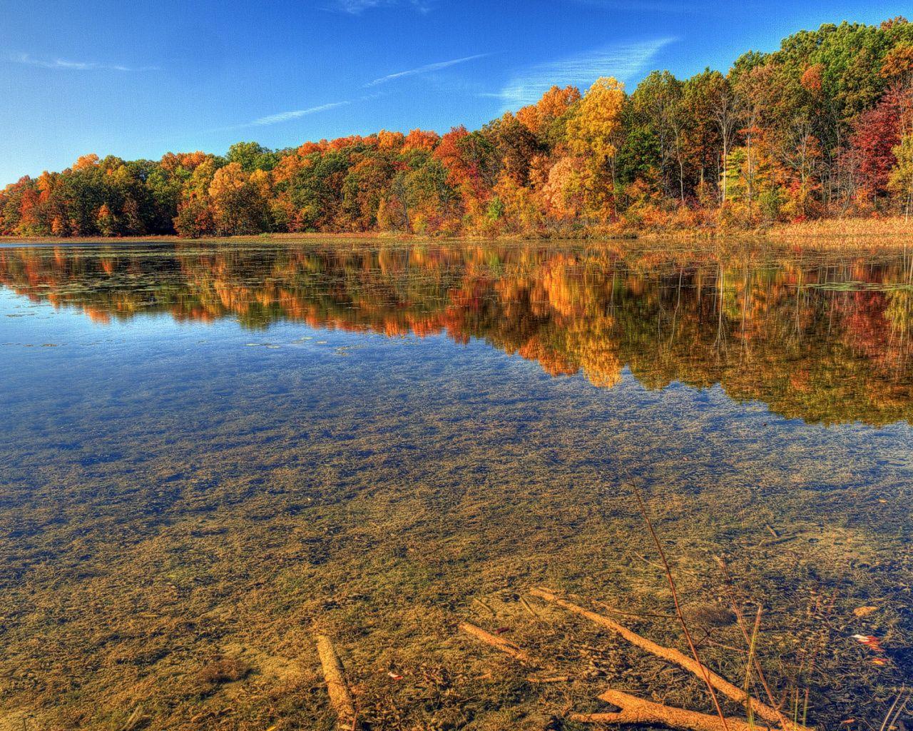 1280x1024 Autumn Trees Clear Lake Wood desktop PC and Mac wallpaper