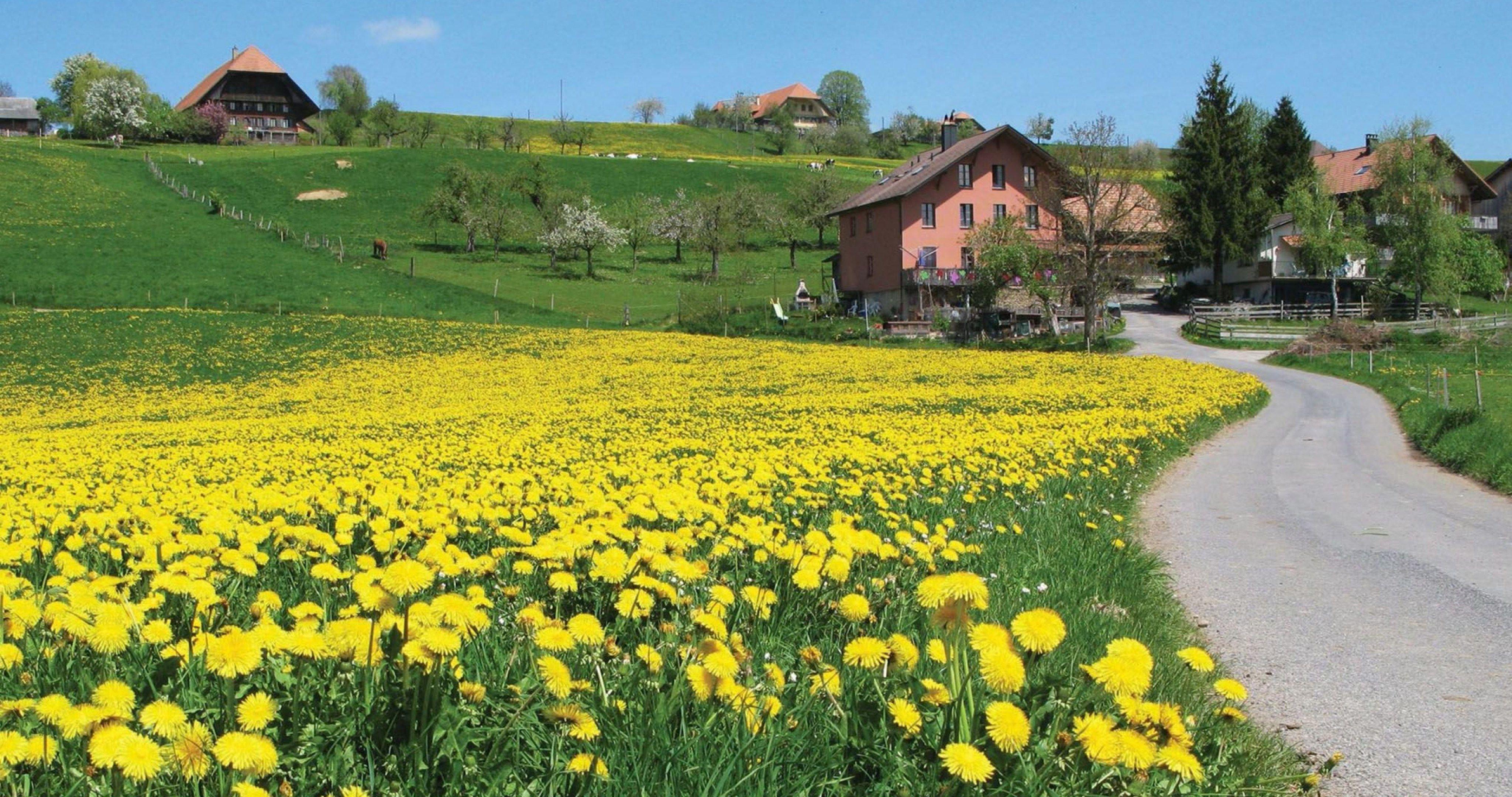 4096x2160 alps switzerland 4k ultra HD wallpaper High quality walls