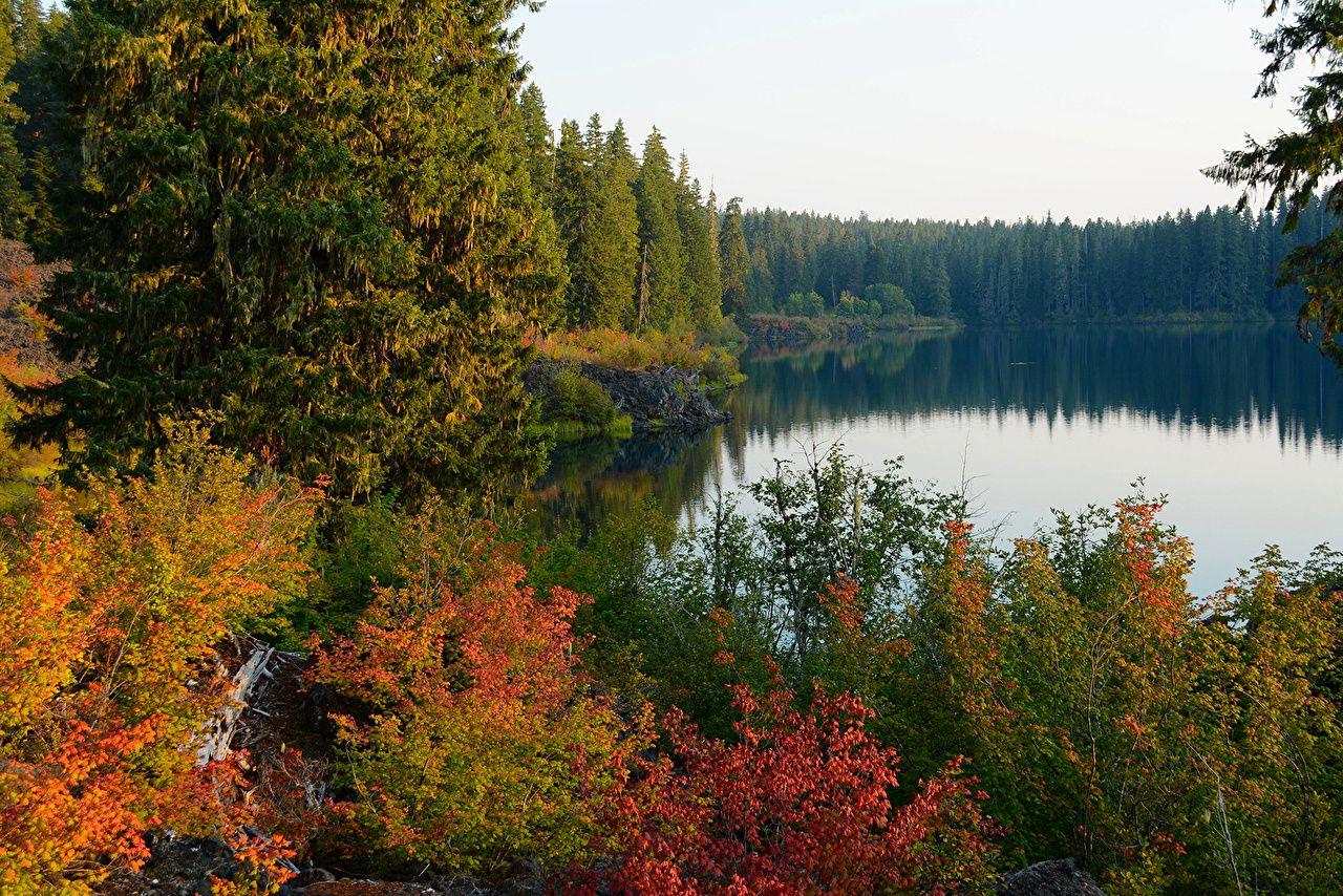1280x854 Desktop Wallpaper USA Clear Lake Oregon Nature Autumn Forests