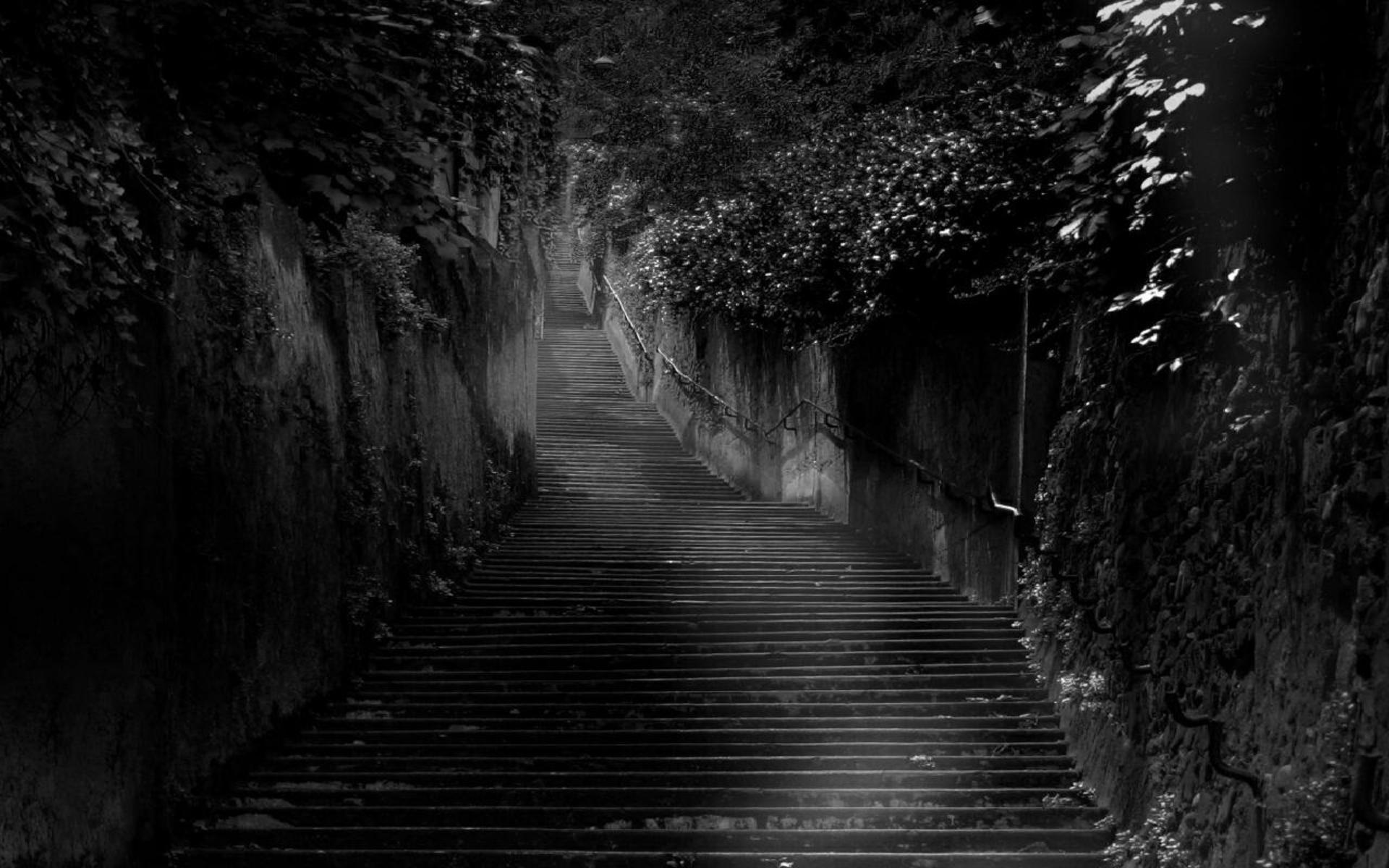 1920x1200 Dark Nature Wallpaper Background