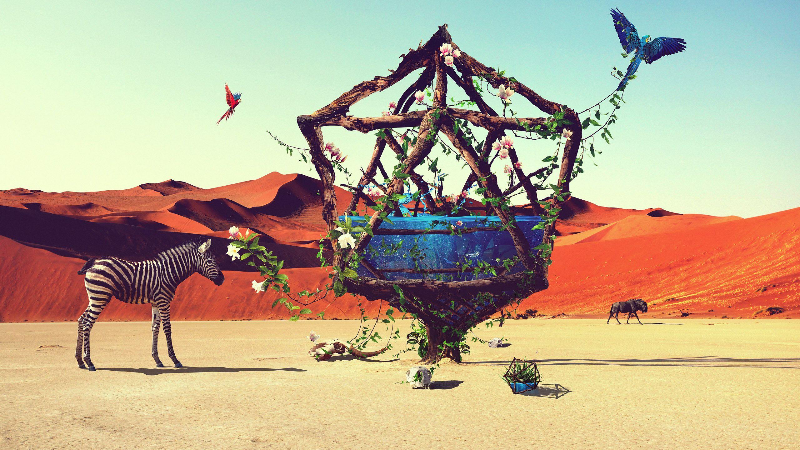2560x1440 Desert Paradise Wallpaper