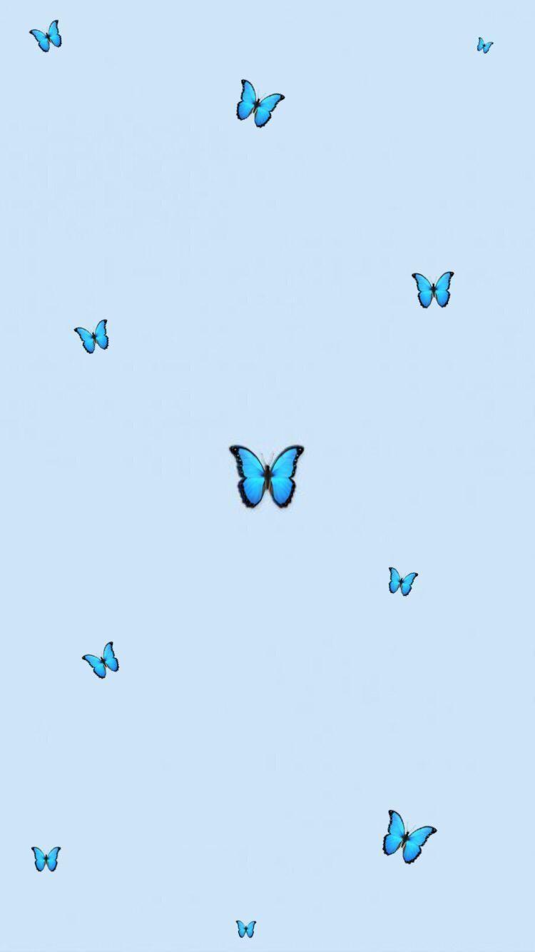 750x1334 ästhetische Schmetterling. Blue butterfly wallpaper, Blue wallpaper iphone, Butterfly wallpaper iphone