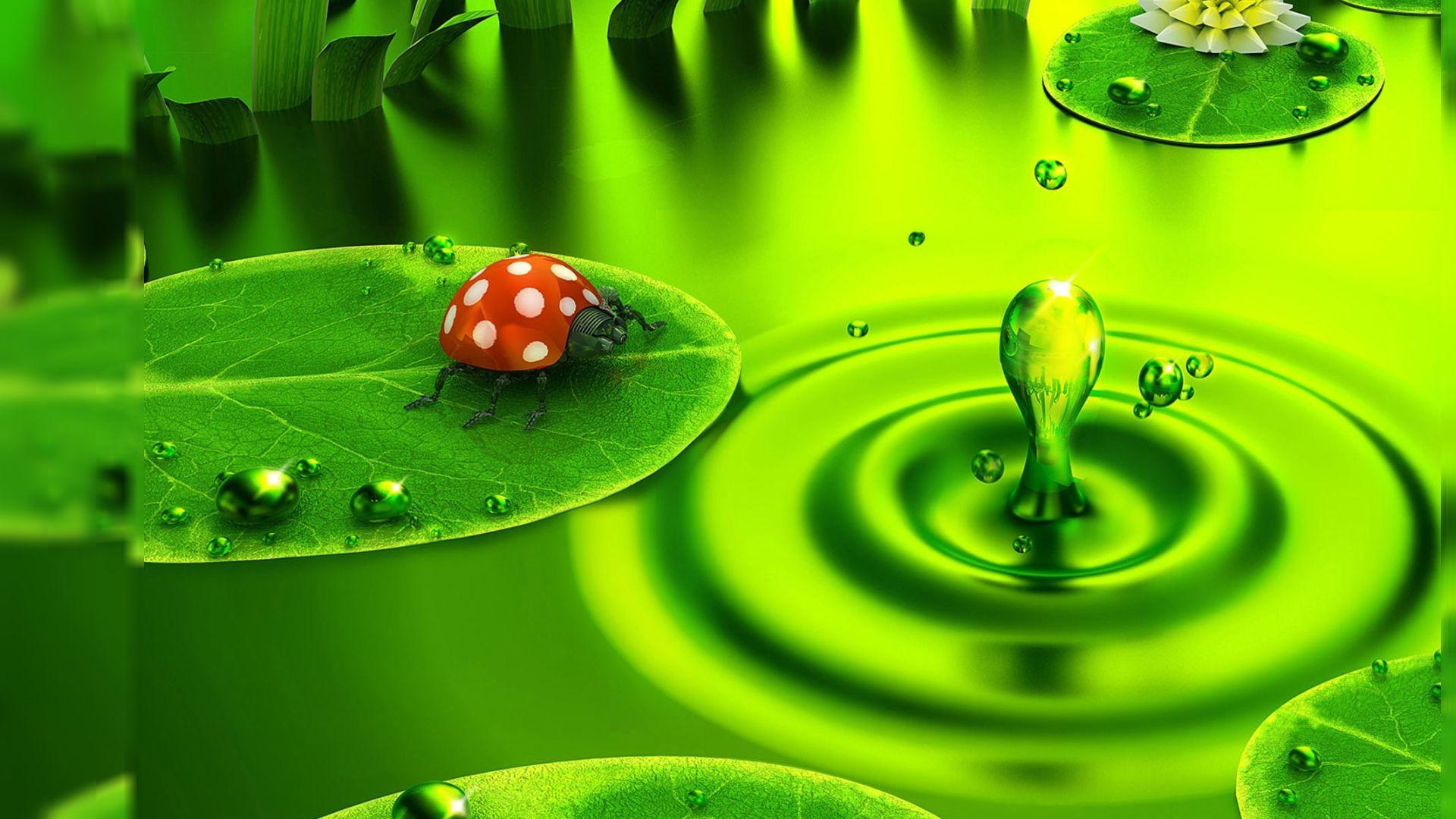 1920x1080 Beautiful Natural Image For Your Desktop