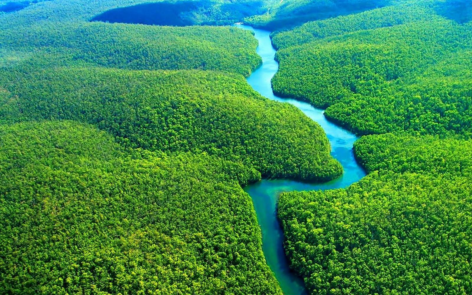 Amazon HD Wallpapers Top Free Amazon HD Backgrounds WallpaperAccess Amazon HD Wallpapers Top Free Amazon HD Backgrounds WallpaperAccess