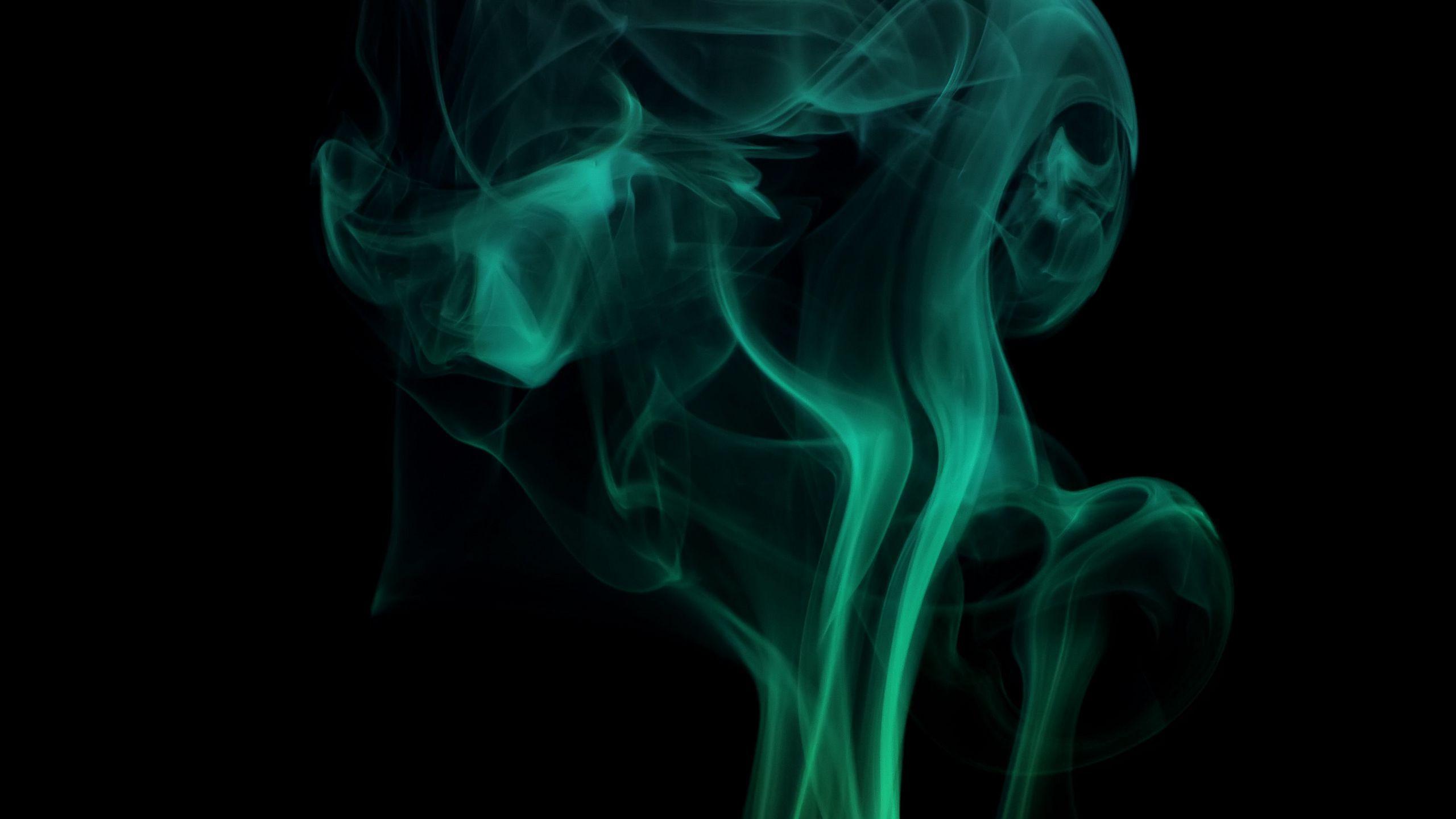 2560x1440 Download wallpaper 2560x1440 smoke, shroud, colored smoke, green, dark widescreen 16:9 HD background