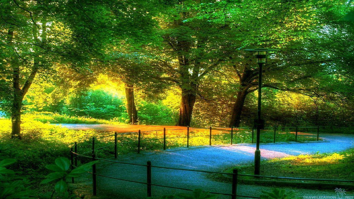 1366x768 Fantastic Scenery wallpaperx768