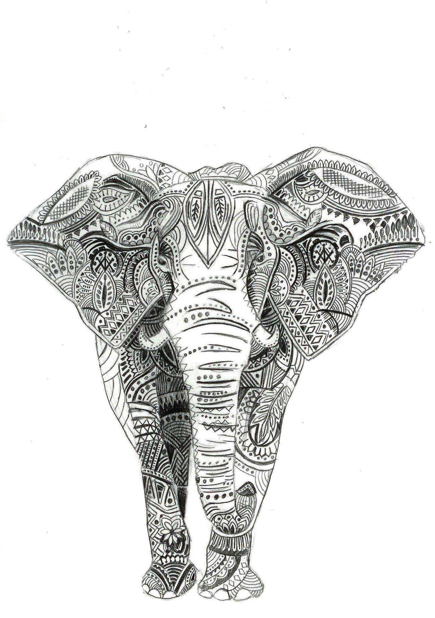 1519x2157 White Elephant Wallpaper
