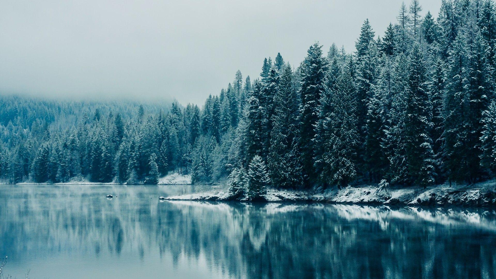 1920x1080 Cold winter wallpaper