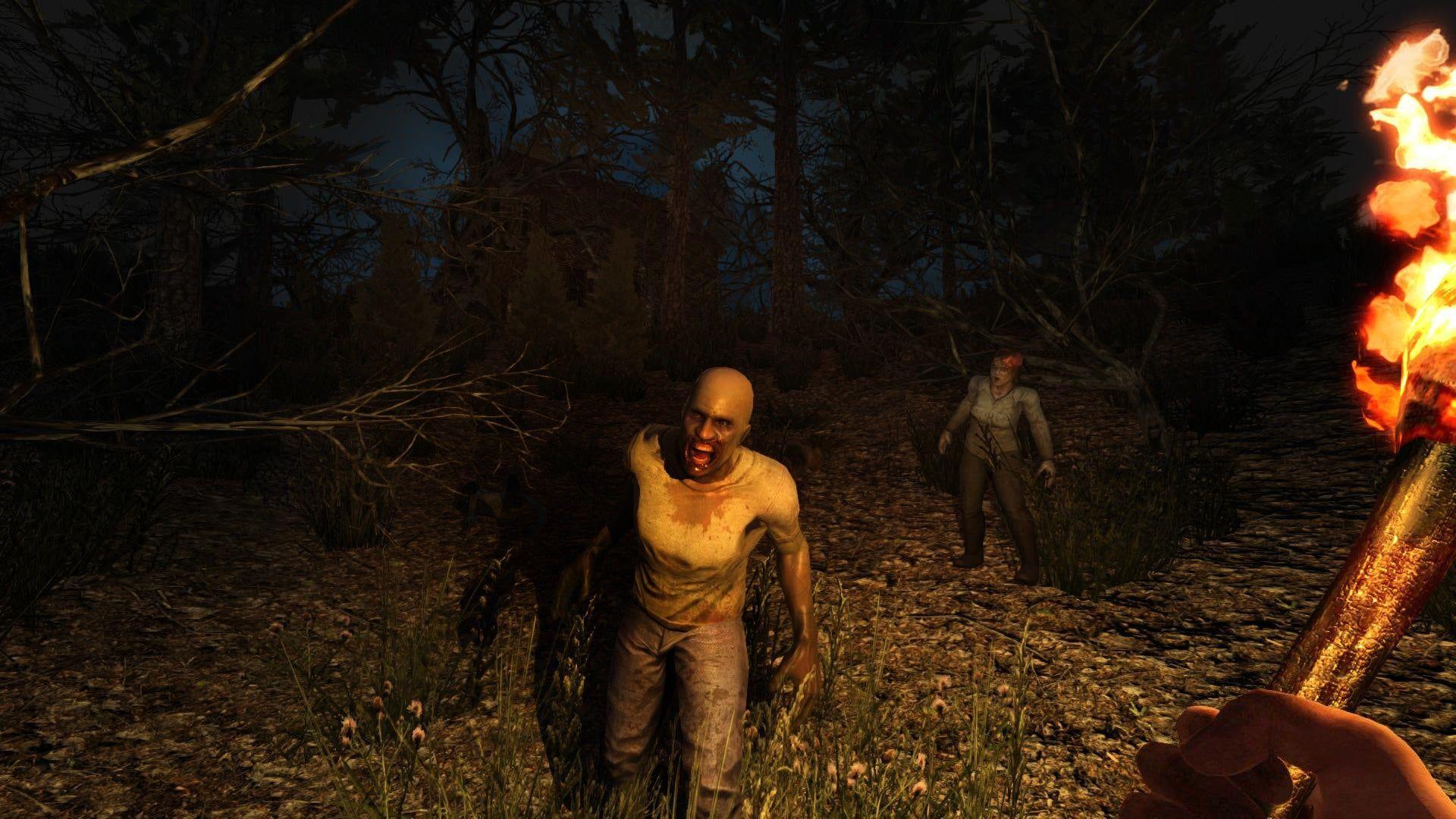 1920x1080 Days to Die Review