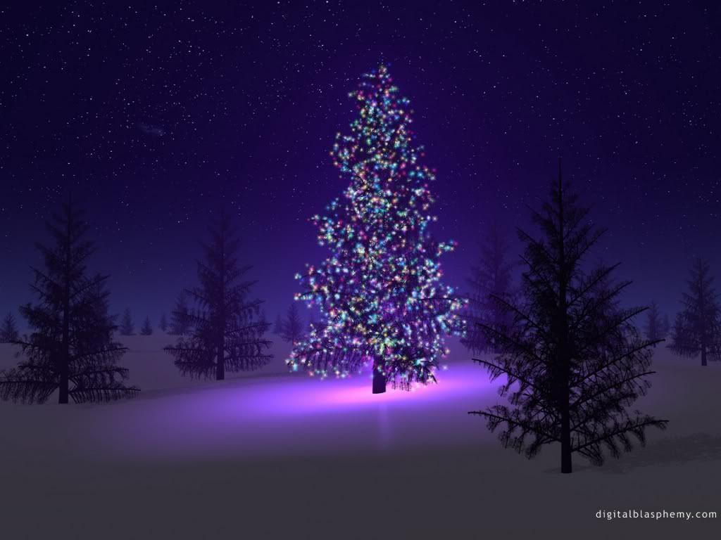 1024x768 Winter Solstice Wallpaper