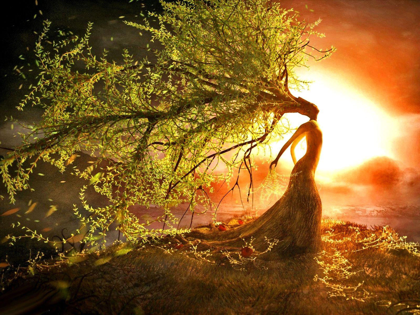 1600x1200 Free download SoulShines Summer Solstice Wild Woman Retreat Soul Shine [1600x1200] for your Desktop, Mobile & Tablet. Explore Summer Solstice Wallpaper. Summer Solstice Wallpaper, Winter Solstice Wallpaper, Wallpaper Summer