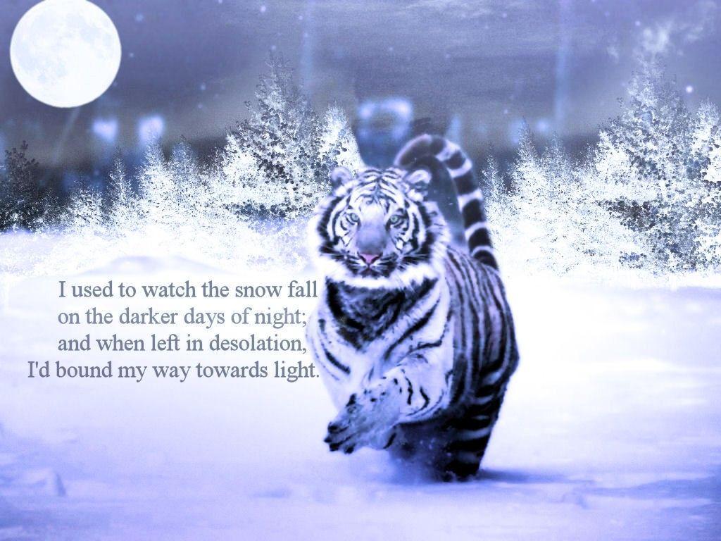 1024x768 Free download Winters Silent Solstice Wallpaper CreateBlog [1024x768] for your Desktop, Mobile & Tablet. Explore Winter Solstice Wallpaper. Winter Solstice Wallpaper, Summer Solstice Wallpaper, Winter Background