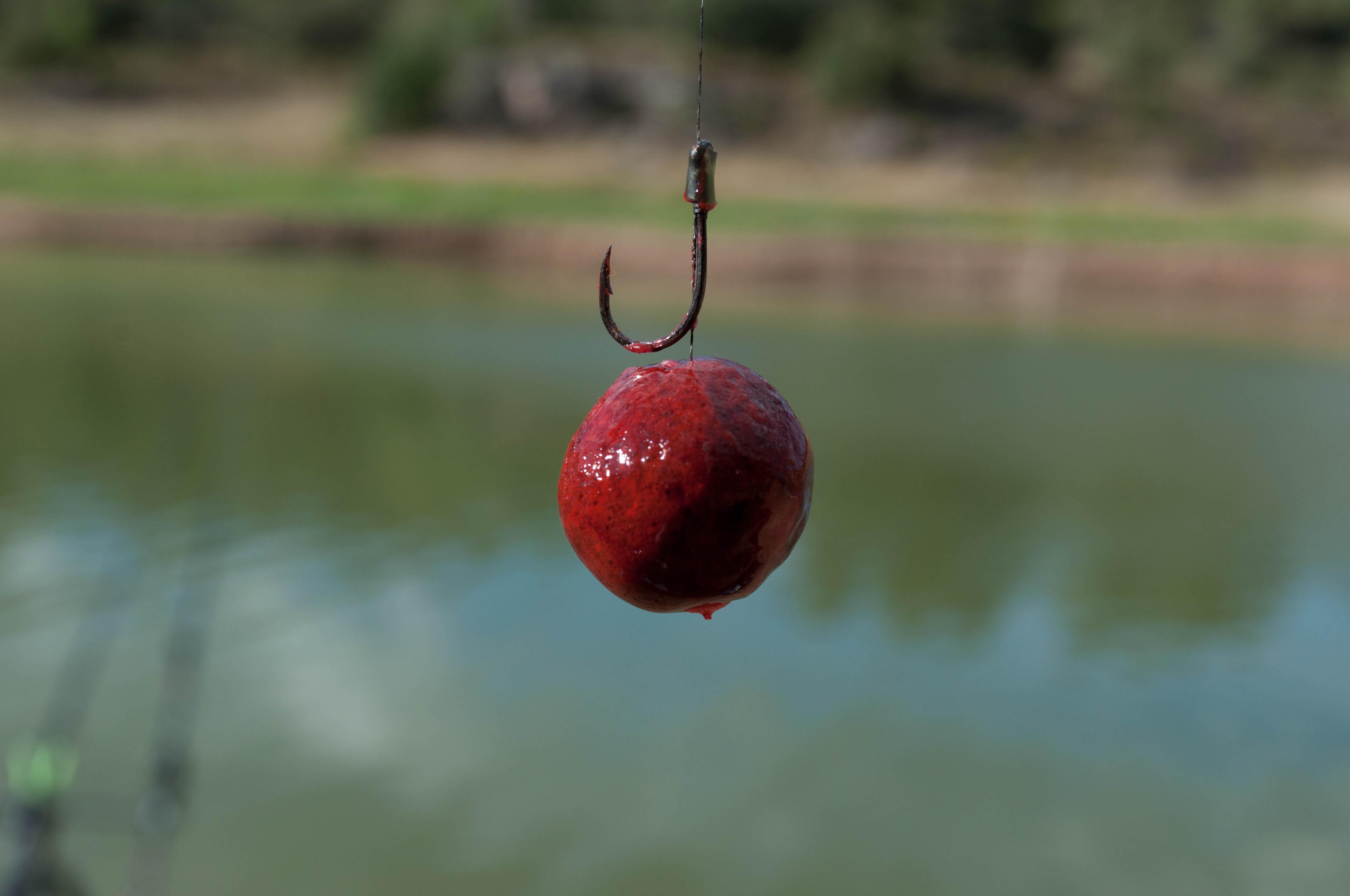 4288x2848 Carpfishing HD