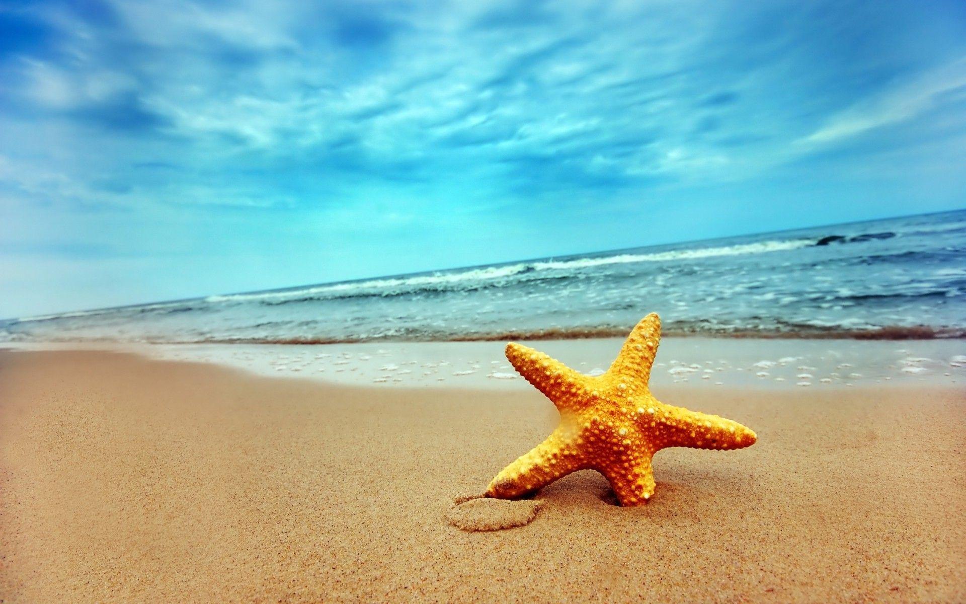 1920x1200 Starfish Background