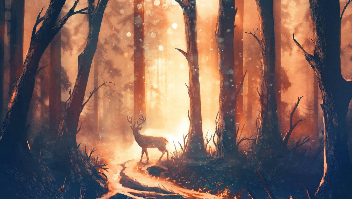 1360x768 Deer Forest Sunbeams Laptop HD HD 4k Wallpaper, Image, Background, Photo and Picture