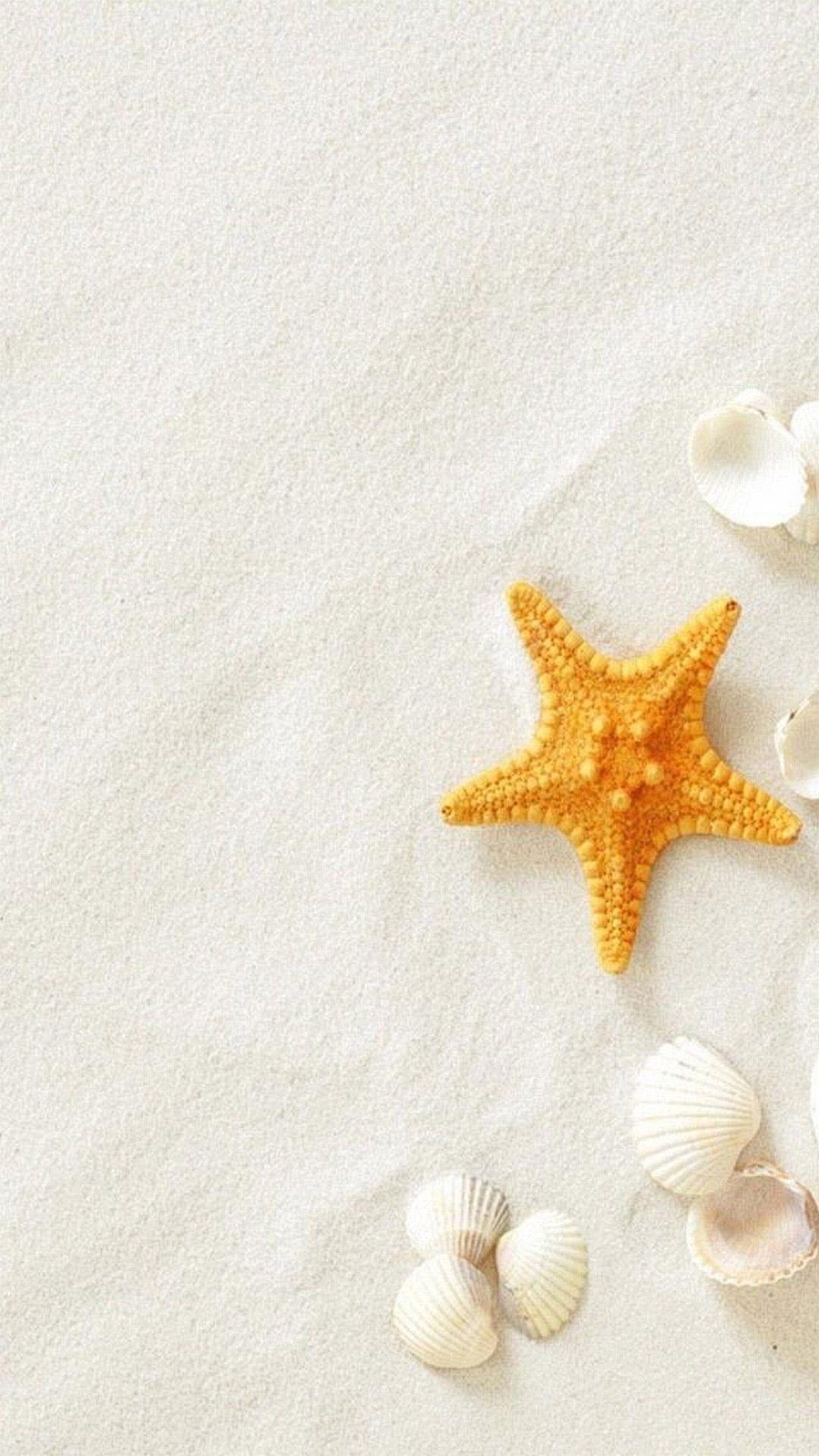 1080x1920 Summer Beach Seashells Sea Stars