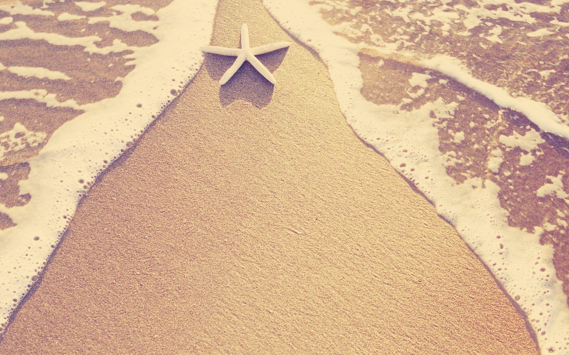 1920x1200 Seastar Background. Seastar Background
