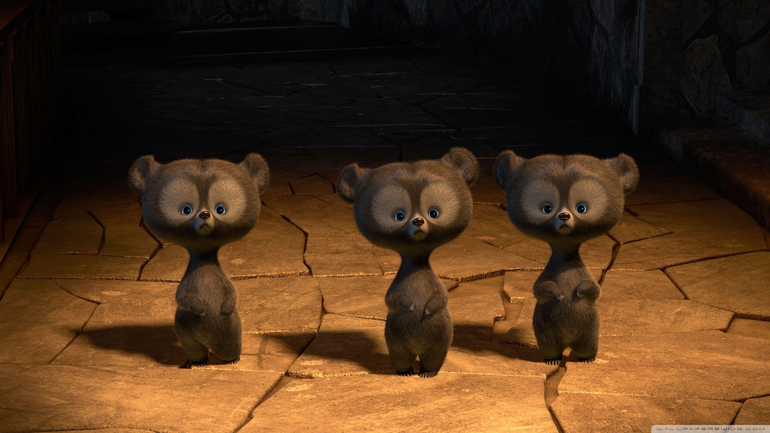 2560x1440 Brave Triplet Bear Cubs Ultra HD Desktop Background Wallpaper for 4K UHD TV : Multi Display, Dual Monitor : Tablet
