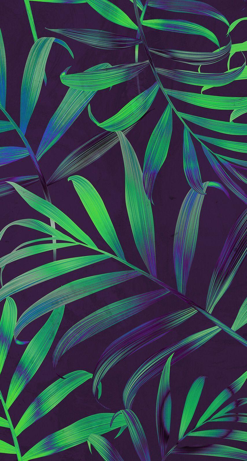 854x1590 Palm leaves. Leaf wallpaper, Nature wallpaper, Pattern wallpaper