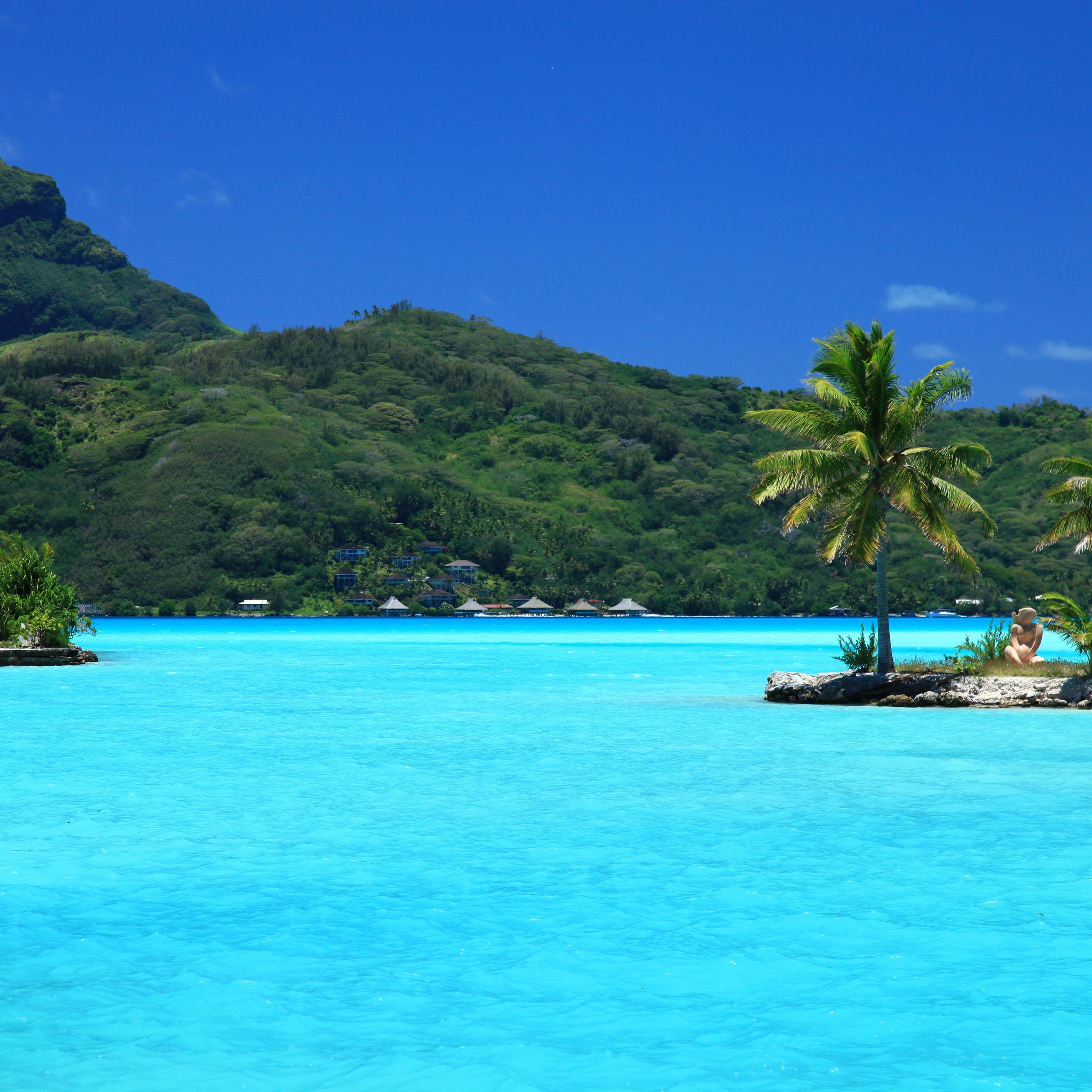 2780x2780 Download wallpaper 2780x2780 tropical, island, palm trees ipad air, ipad air ipad ipad ipad mini ipad mini ipad mini ipad pro 9.7 for parallax HD background