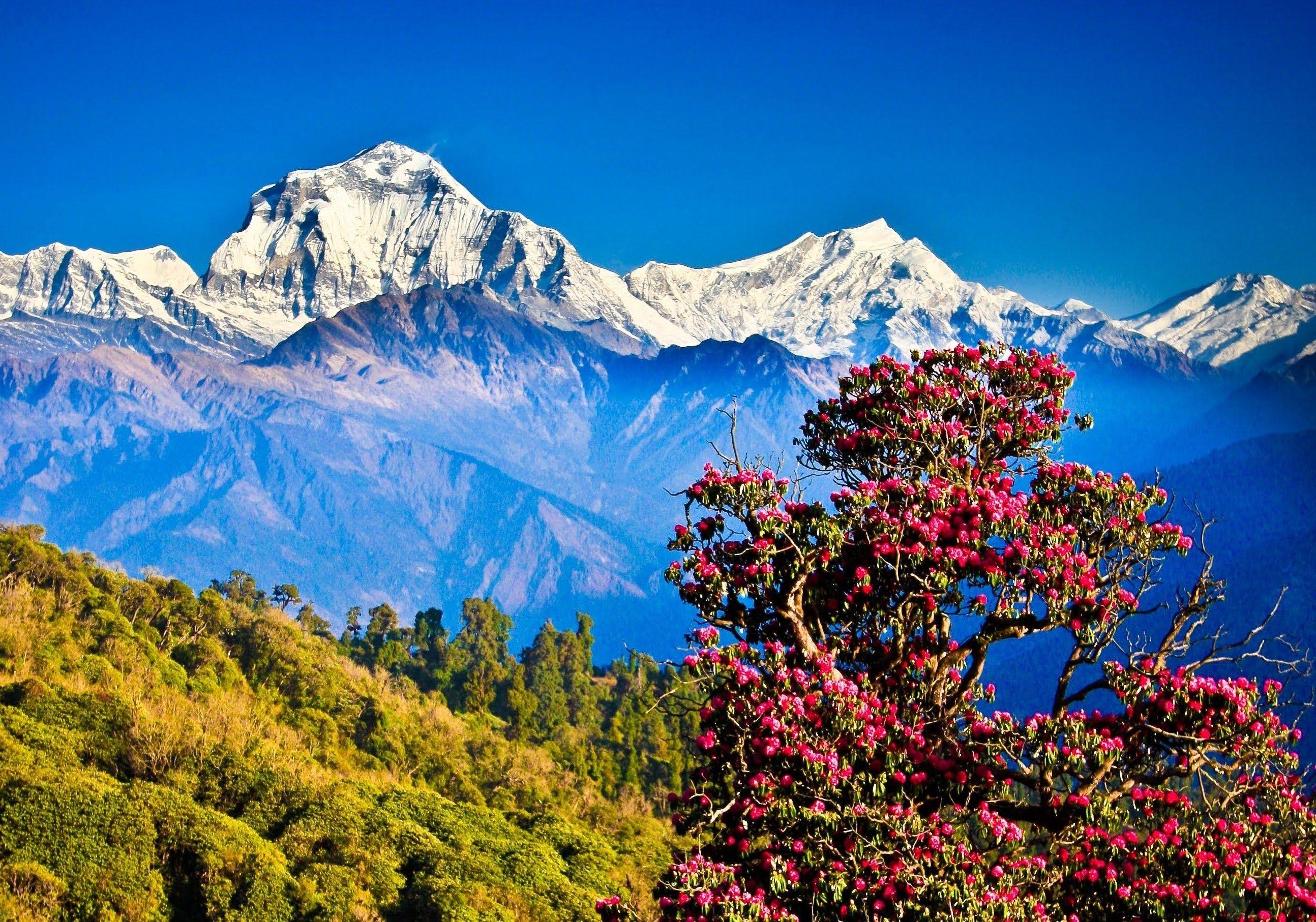 2588x1814 Nepal Himalayas Mountains Nature Landscape Clear Sky Hills Trees Wallpaper:2588x1814