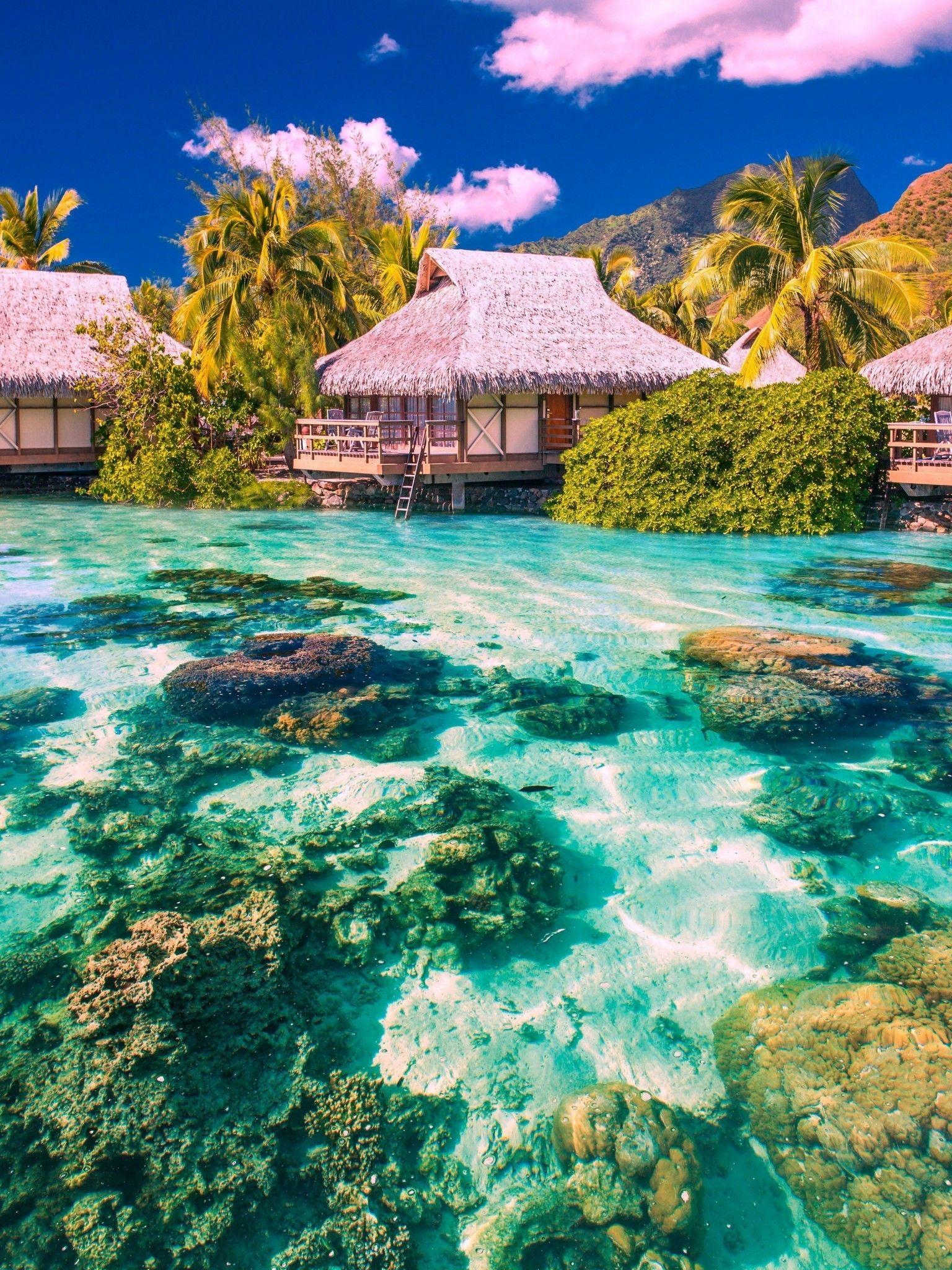 1536x2048 Download 1536x2048 Ocean, Clean Water, Tropical, Palms, Clouds Wallpaper for Apple iPad Mini, Apple IPad 4