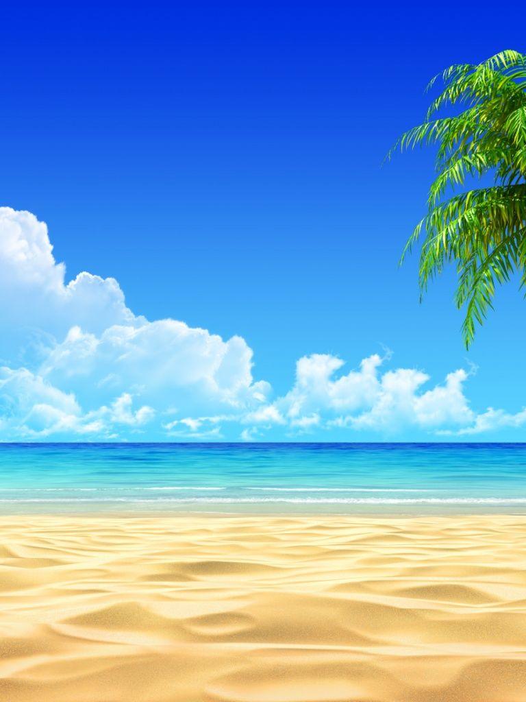 768x1024 Breath Taking Tropical Beach iPad wallpaper