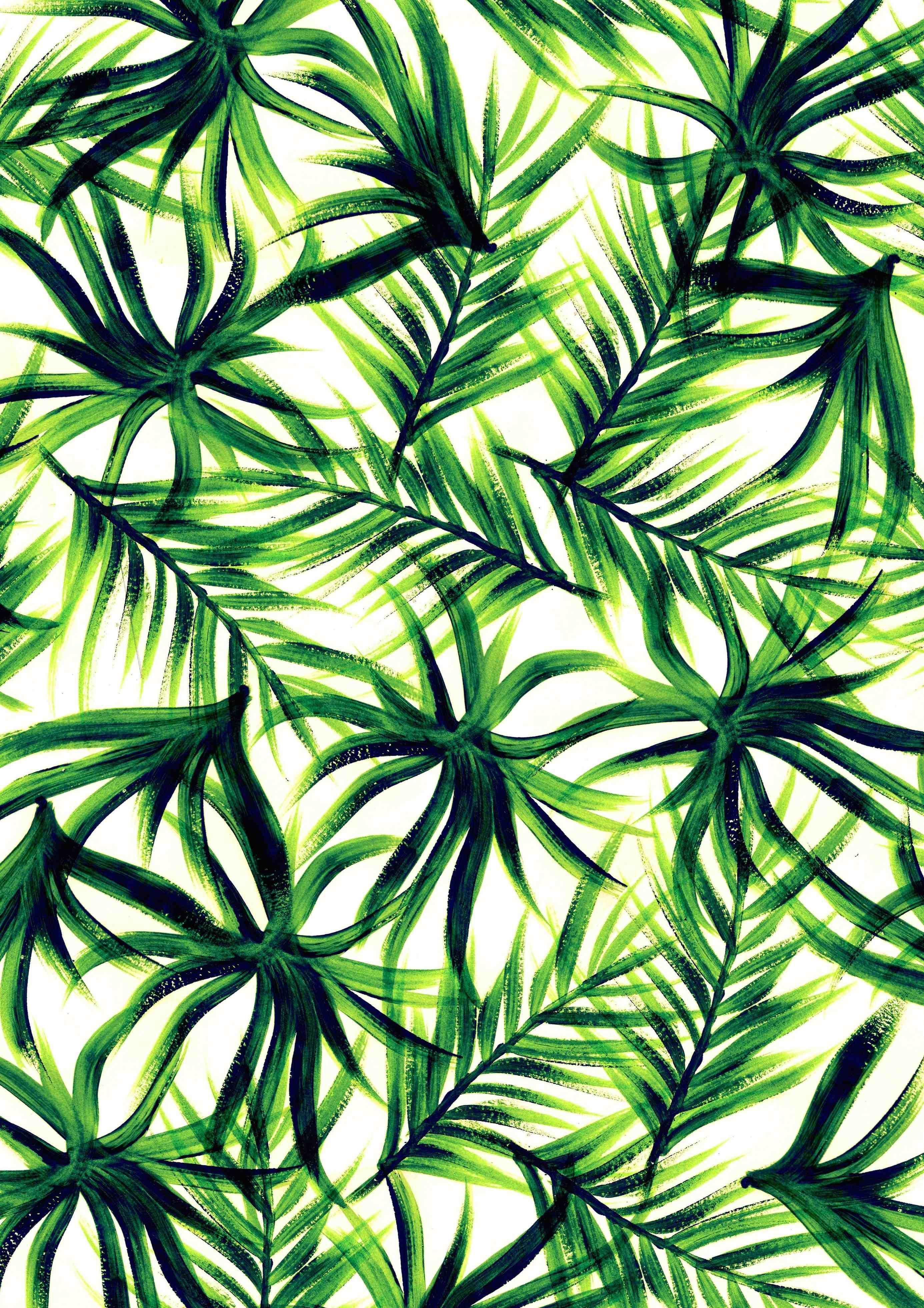 Tropical Leaf iPhone Wallpapers - Top Free Tropical Leaf iPhone