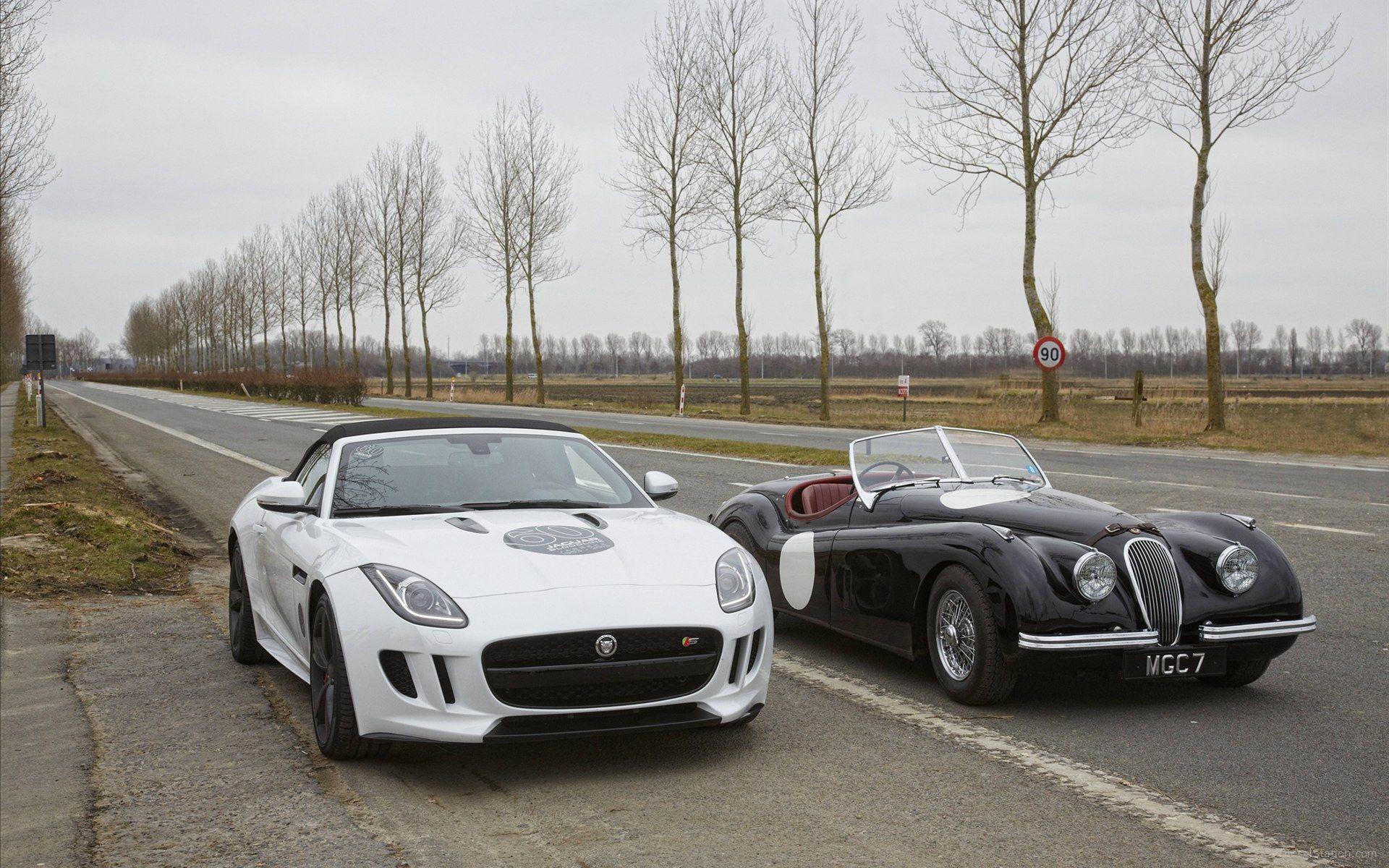 1920x1200 Jaguar F TYPE V8 S Sports Car 2013 Widescreen Exotic Car Wallpaper