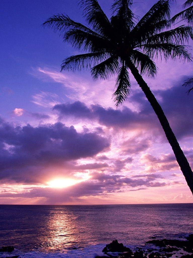768x1024 Tahitian Paradise Sunrise Beach iPad .