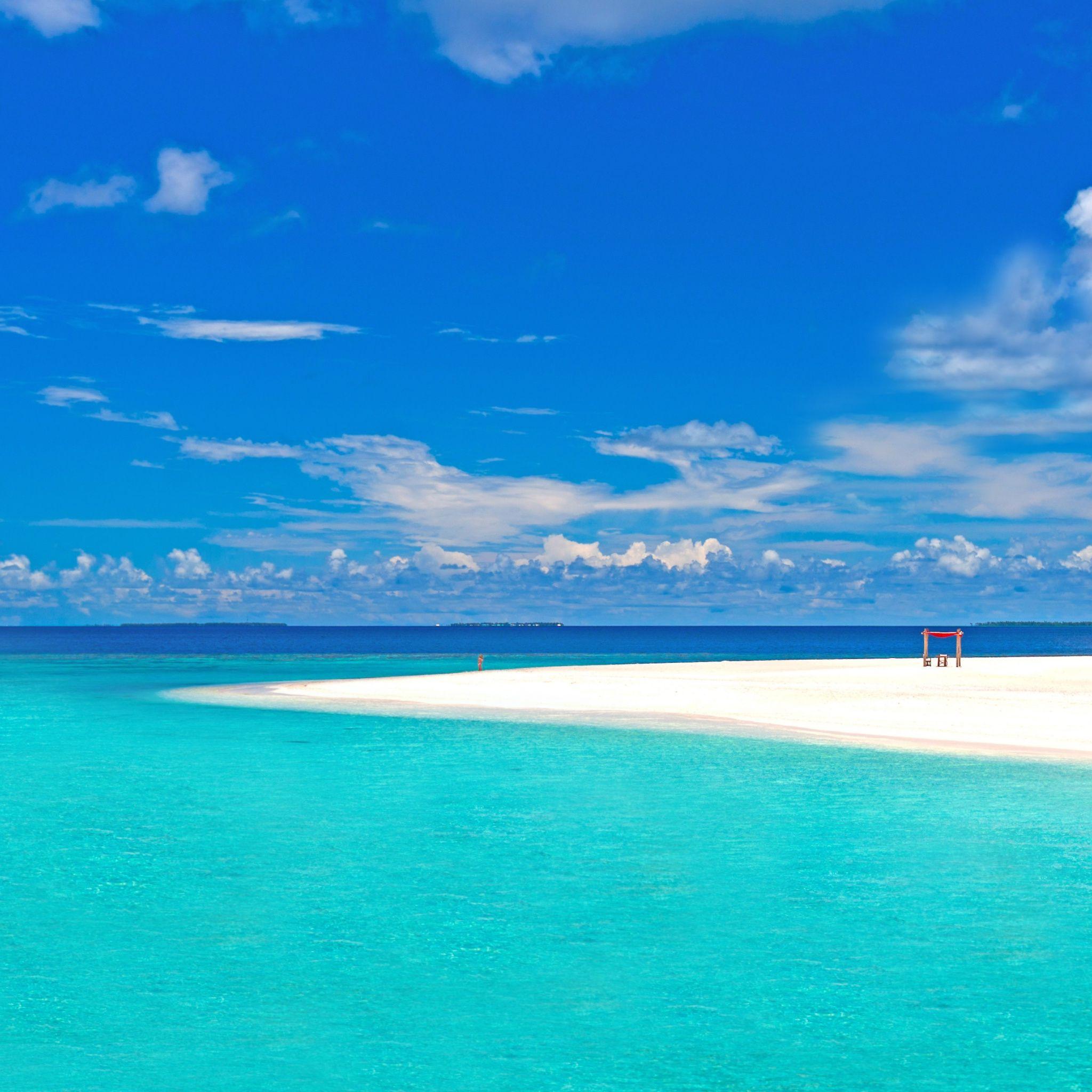 2048x2048 Best tropical iPad Air Wallpaper HD