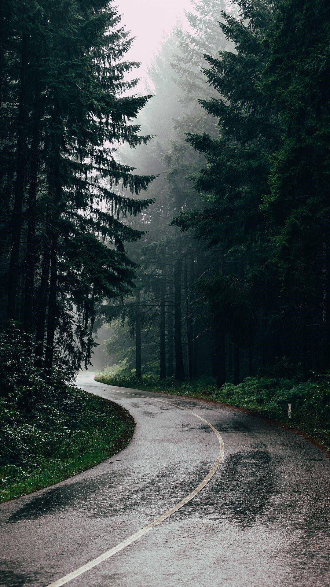 Forest HD iPhone Wallpapers - Top Free Forest HD iPhone Backgrounds ...