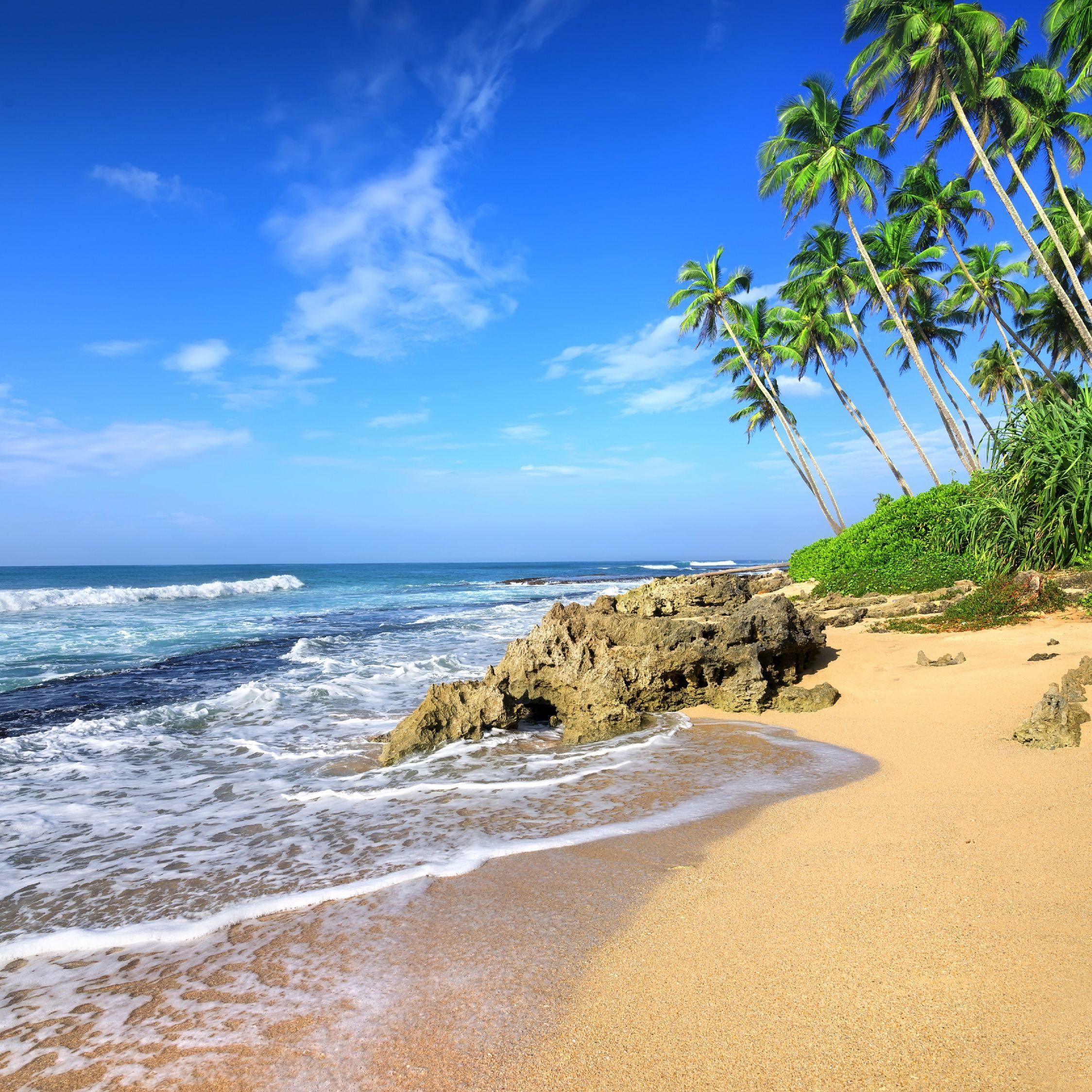2248x2248 Download 2248x2248 wallpaper beach, sea waves, tropical beach, palm tree, ipad air, ipad air ipad ipad ipad mini ipad mini 2248x2248 HD image, background, 131