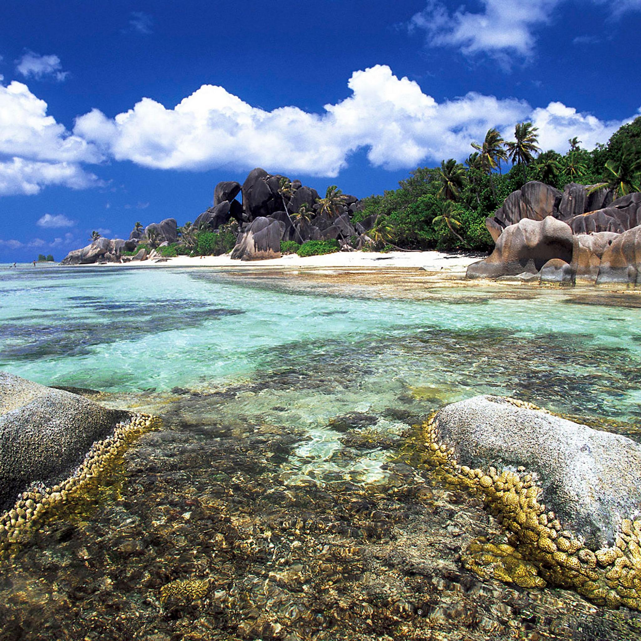 2048x2048 iPad Wallpaper Tropical