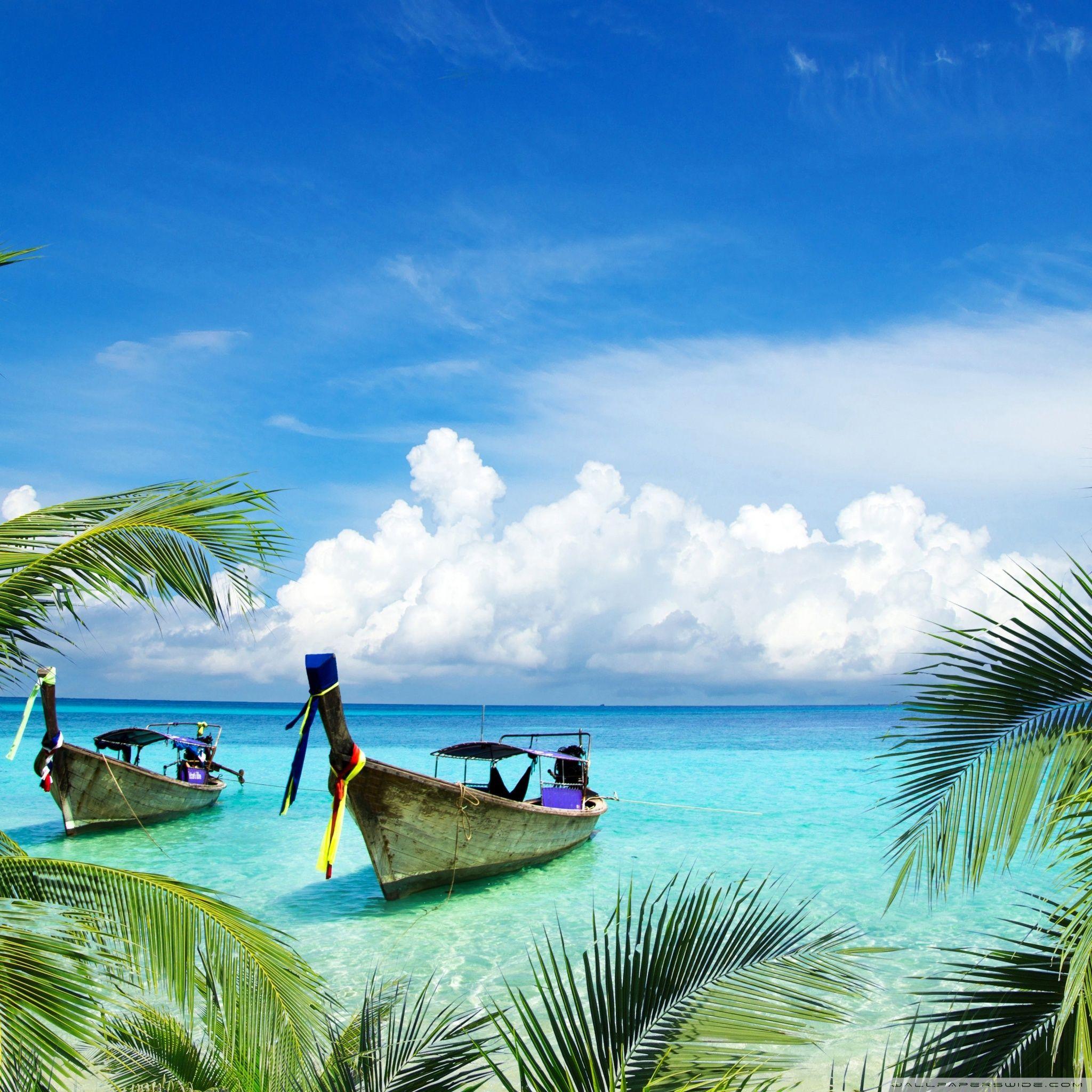 Tropical iPad Wallpapers Top Free Tropical iPad Backgrounds