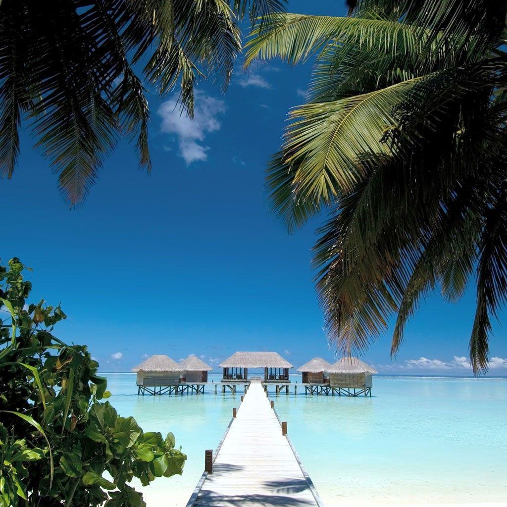 Tropical iPad Wallpapers Top Free Tropical iPad Backgrounds