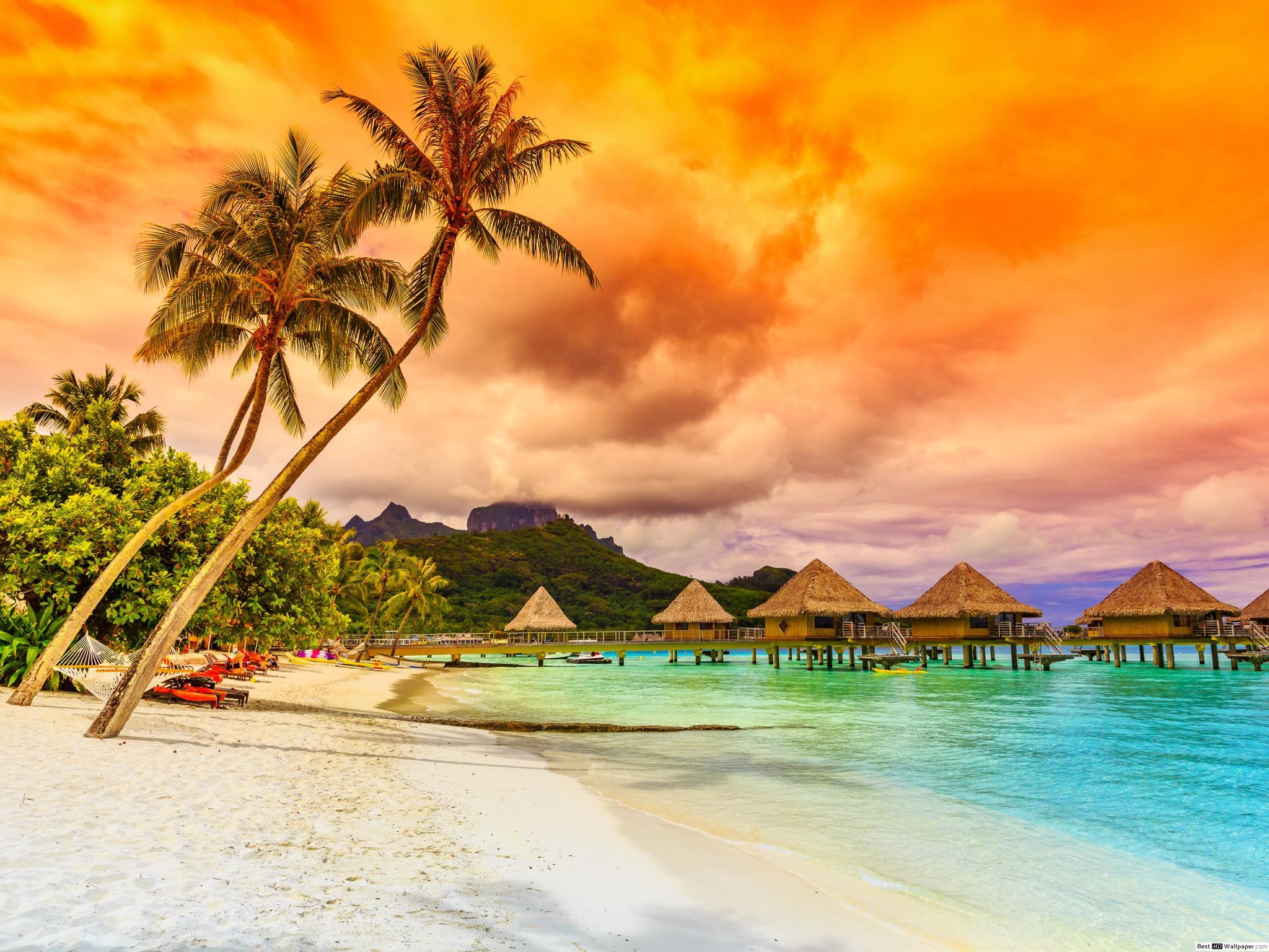 2048x1536 Tropical Sea Beach HD wallpaper download