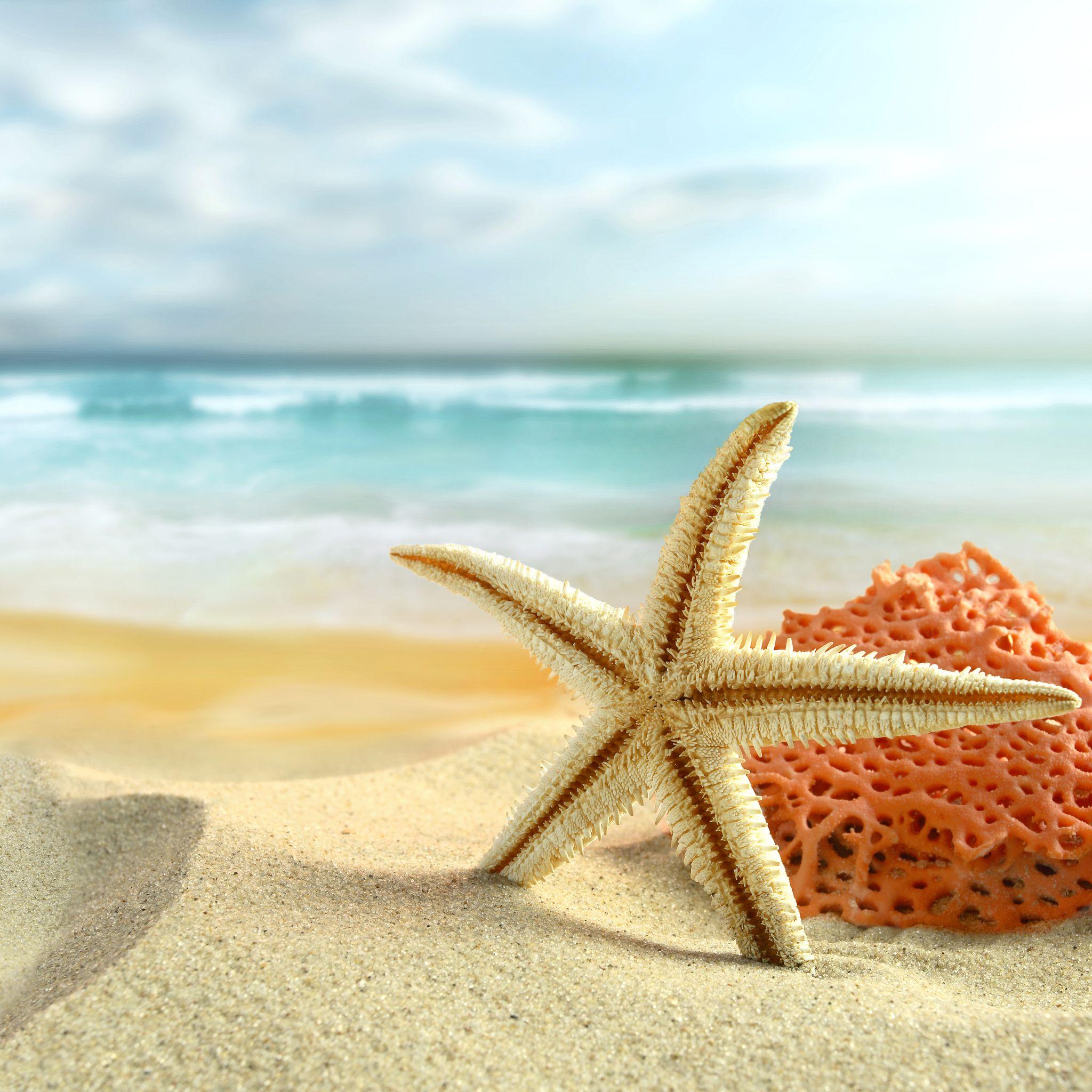 2048x2048 Beach Retina Wallpaper for iPhone Pro Max, X, 6