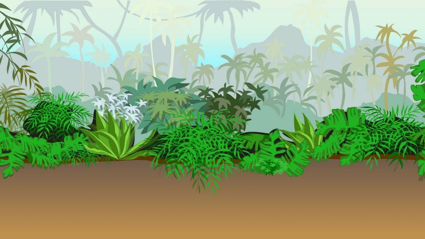 Jungle Safari Wallpapers Top Free Jungle Safari Backgrounds
