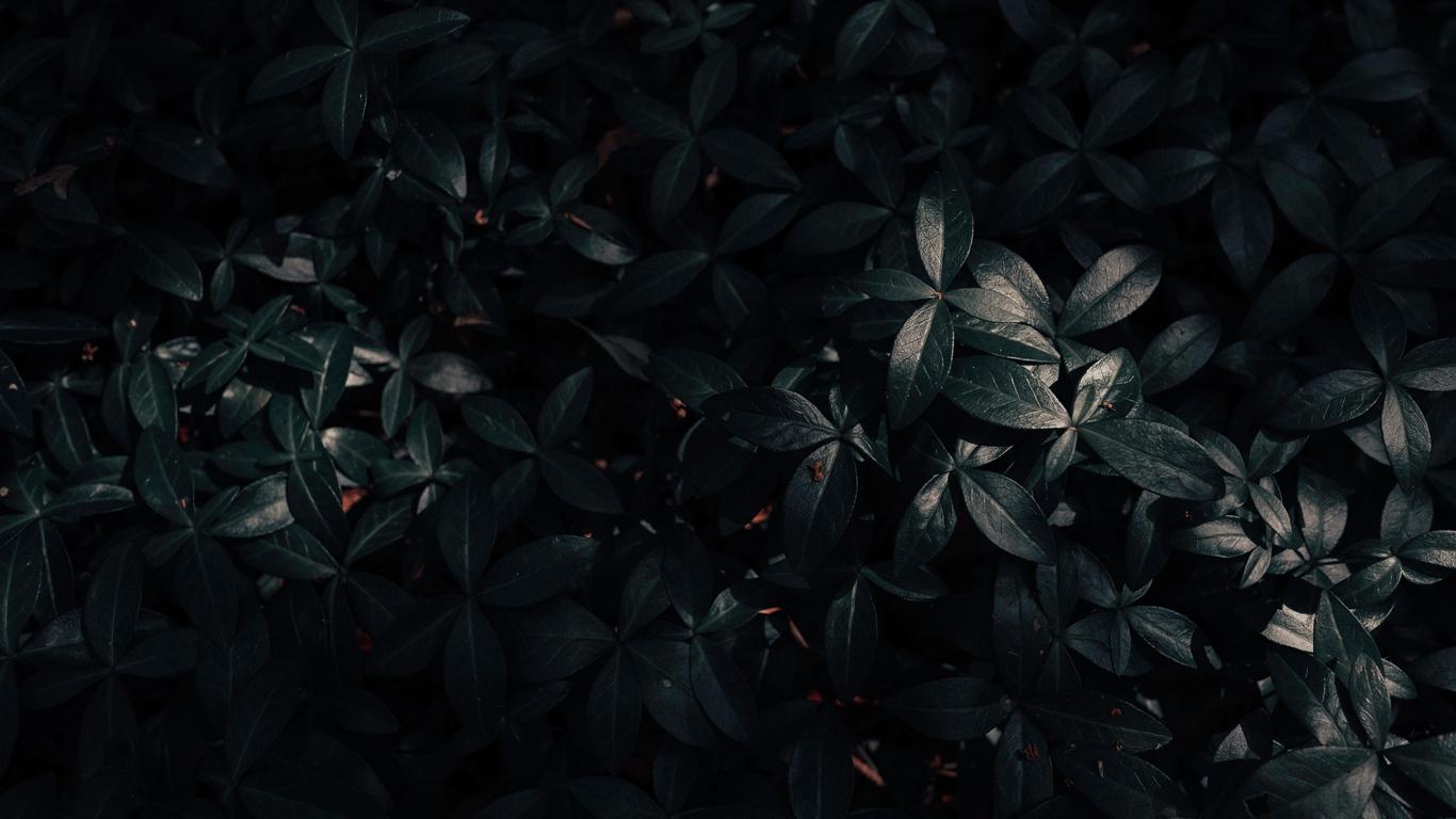 Free download 1366x768 Windows Connected Dark Shape desktop PC and Mac  wallpaper [1366x768] for your Desktop, Mobile & Tablet, Explore 41+  1366x768 Dark Wallpaper